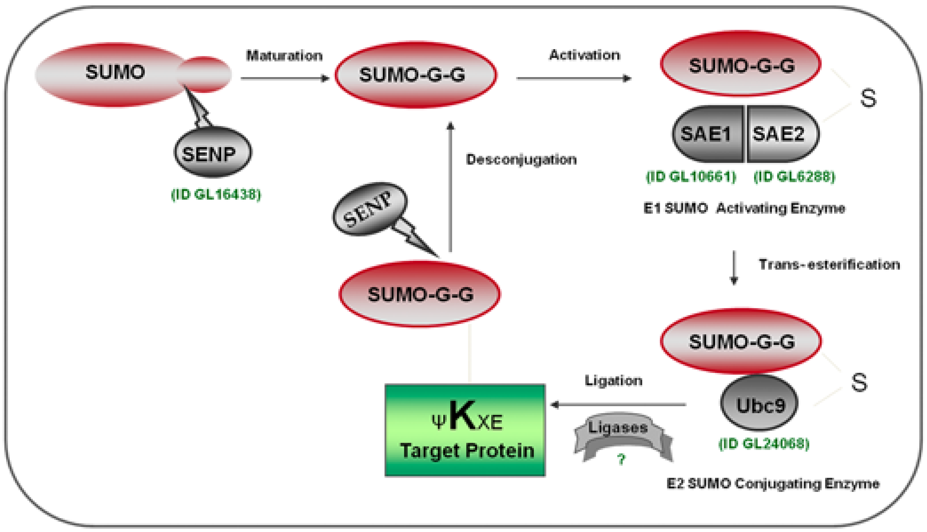 Biomolecules 02 00312 g001
