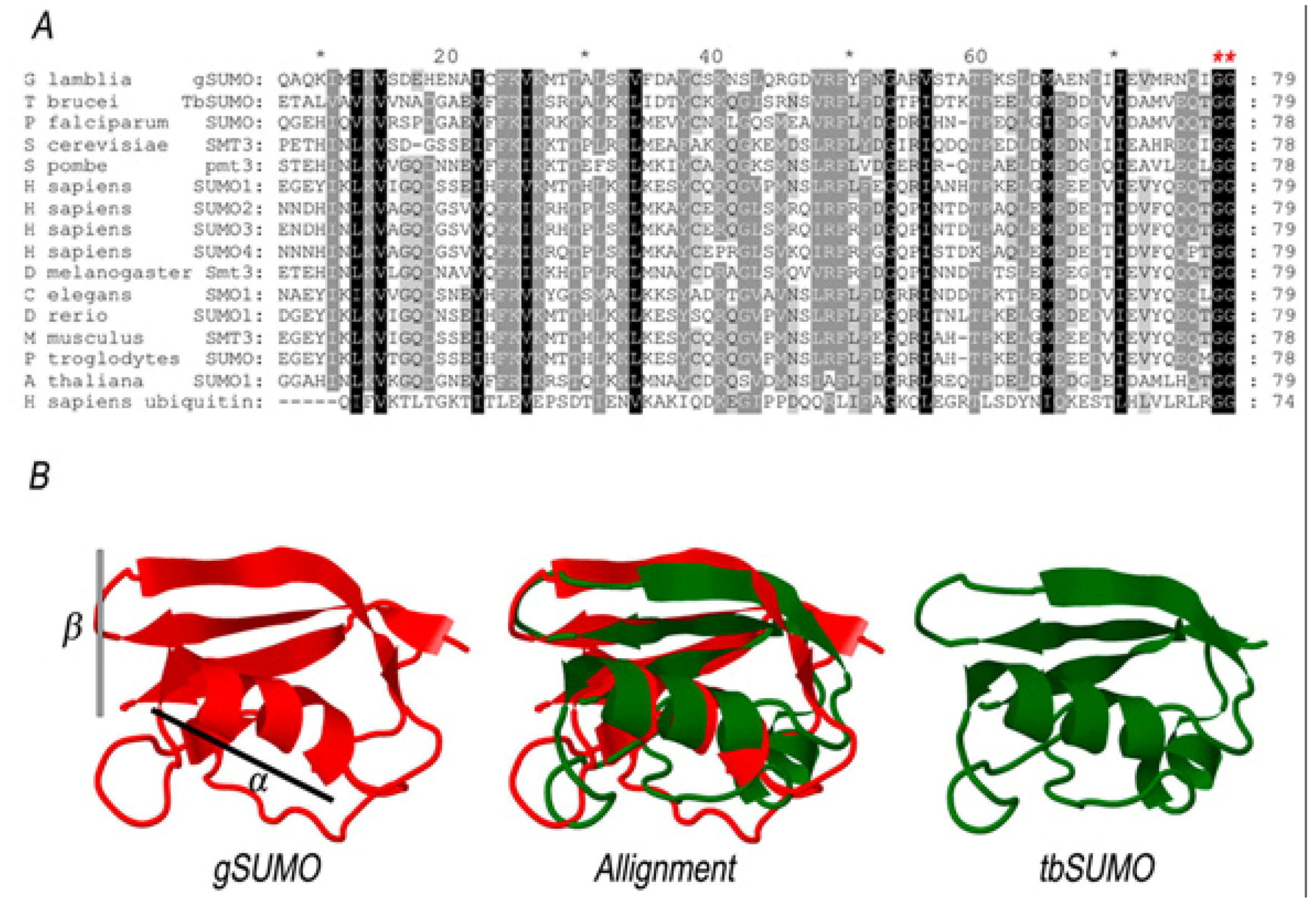 Biomolecules 02 00312 g002