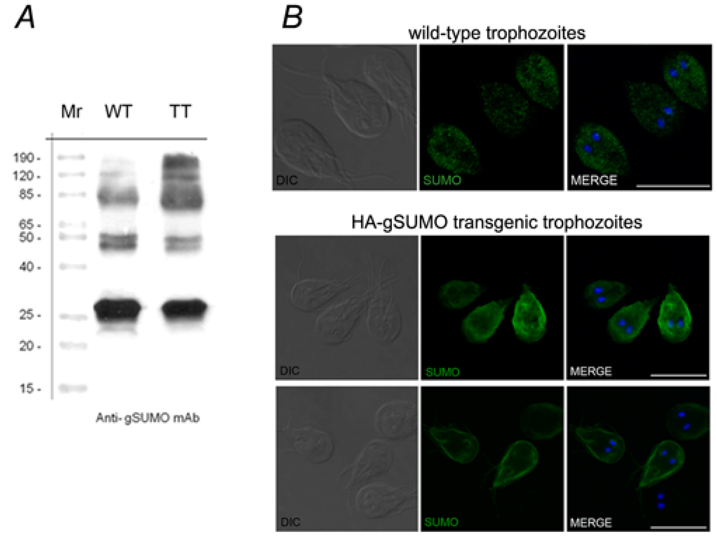 Biomolecules 02 00312 g004