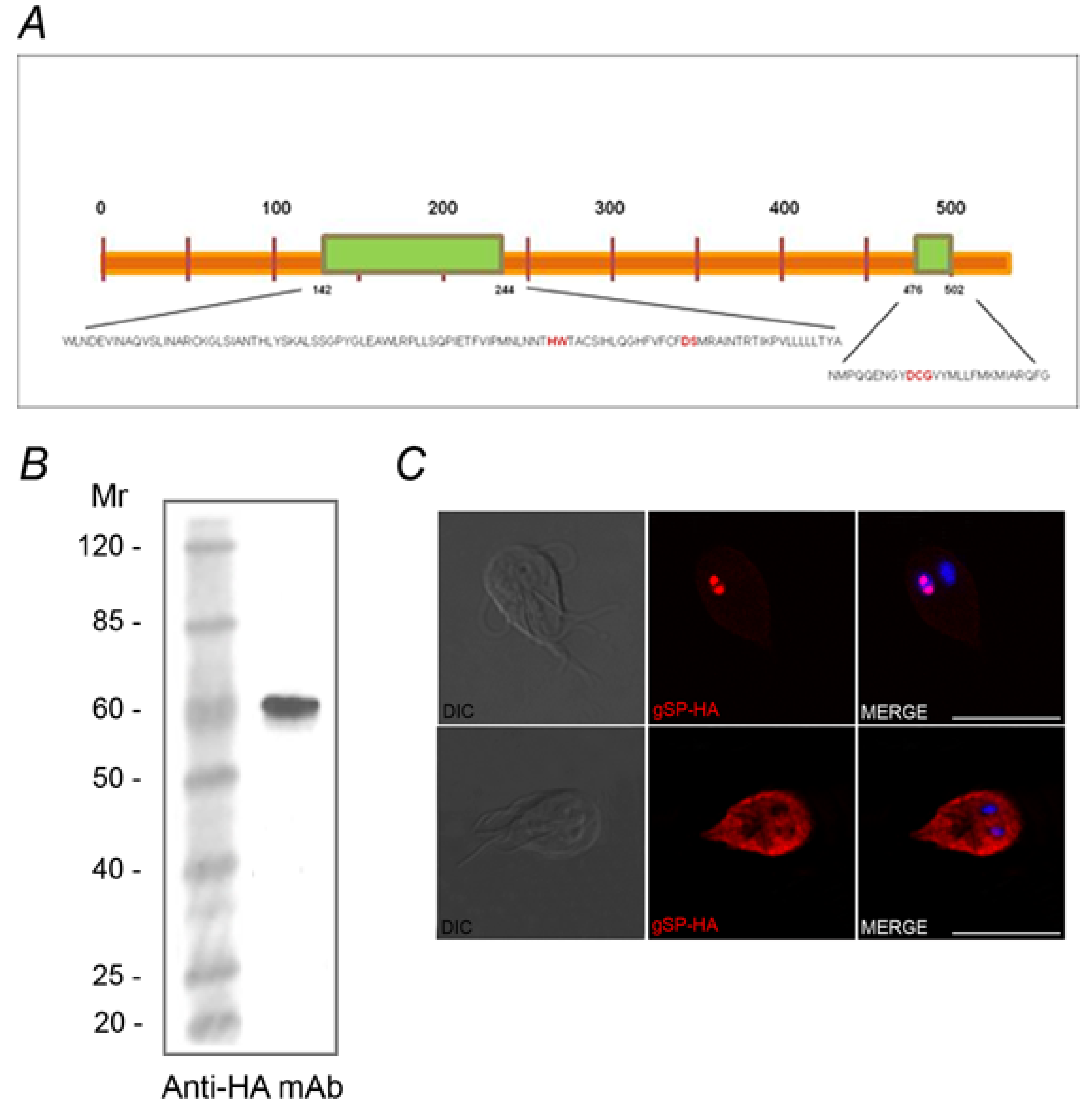 Biomolecules 02 00312 g005