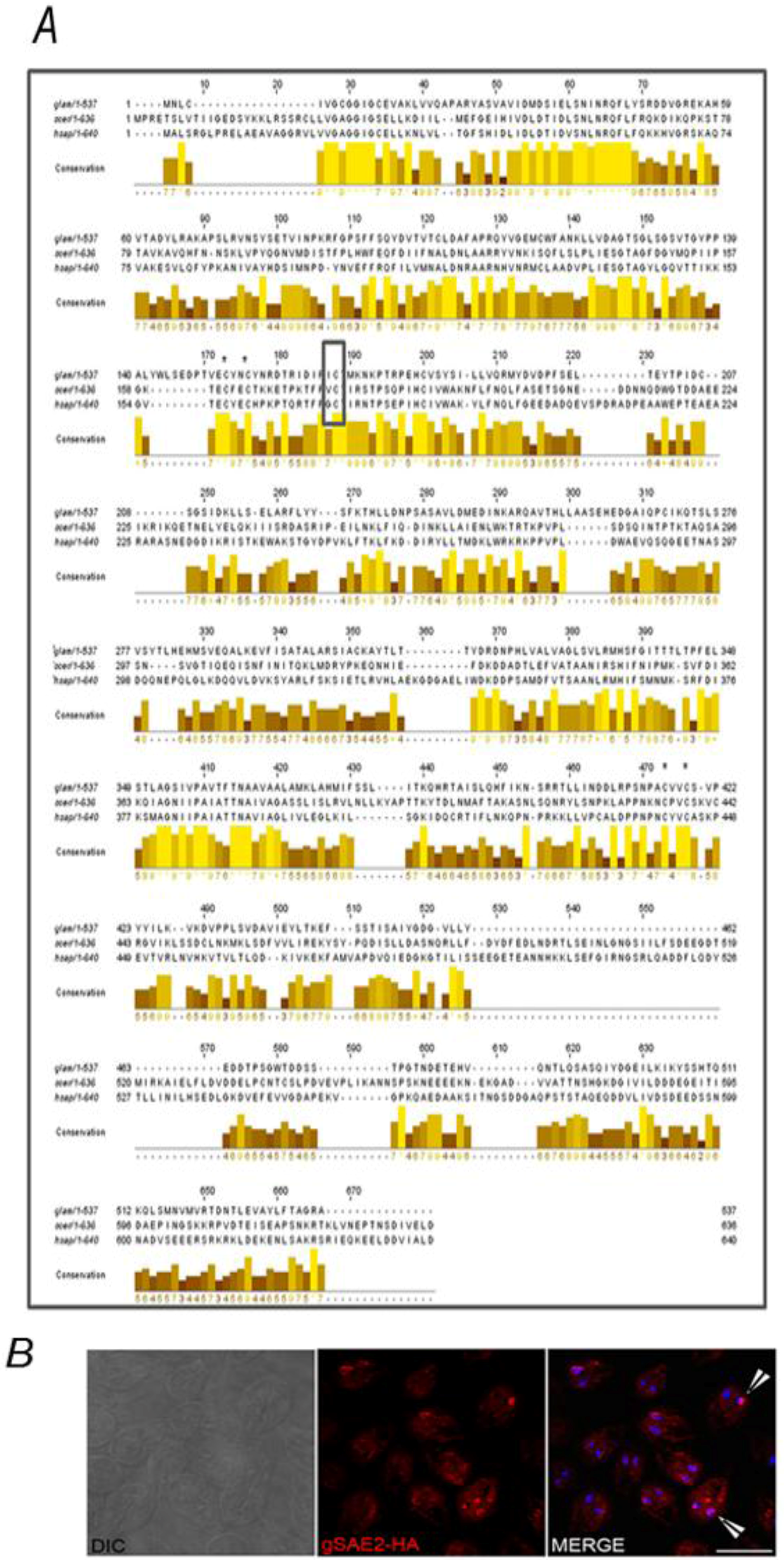 Biomolecules 02 00312 g006