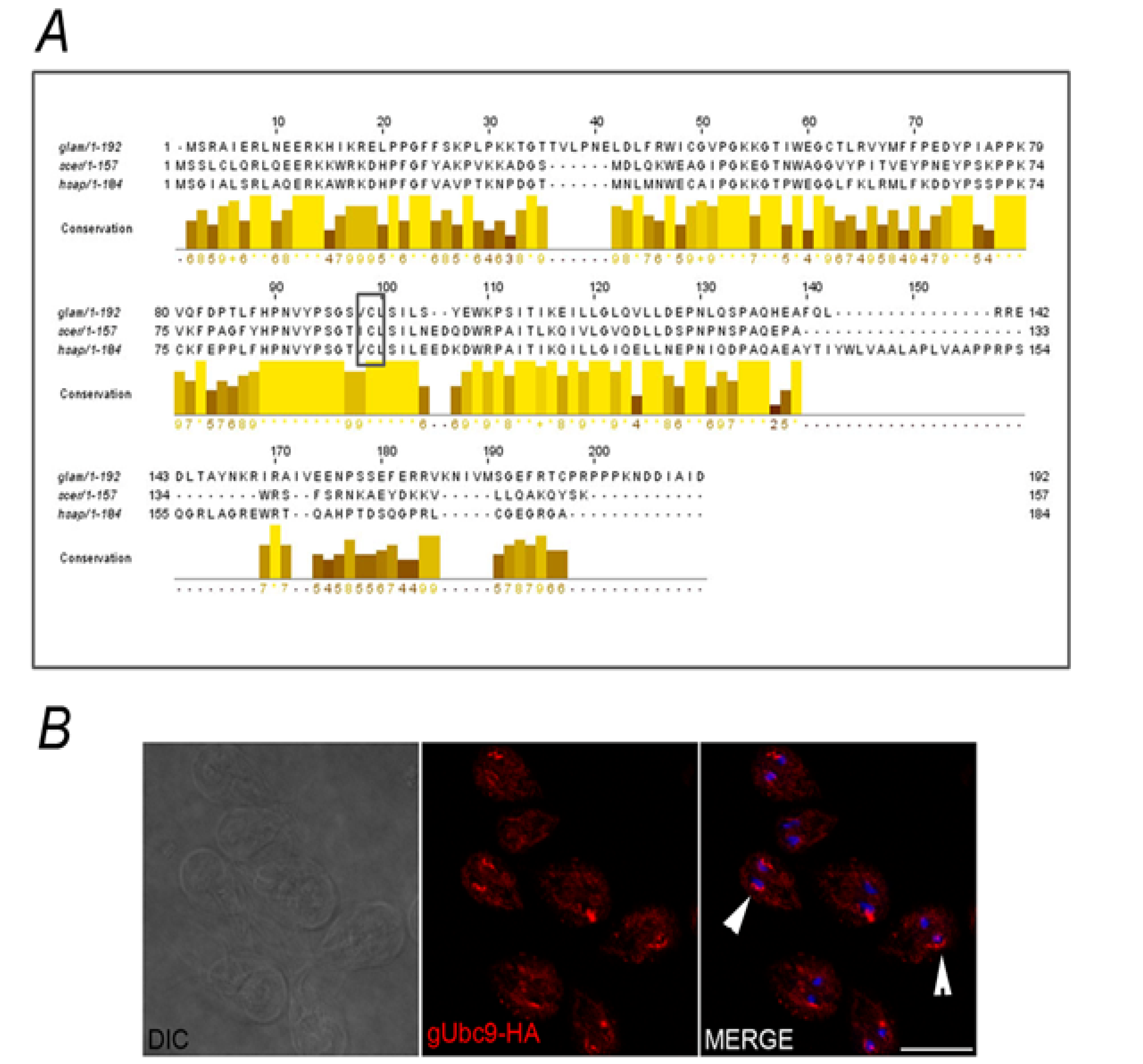 Biomolecules 02 00312 g007