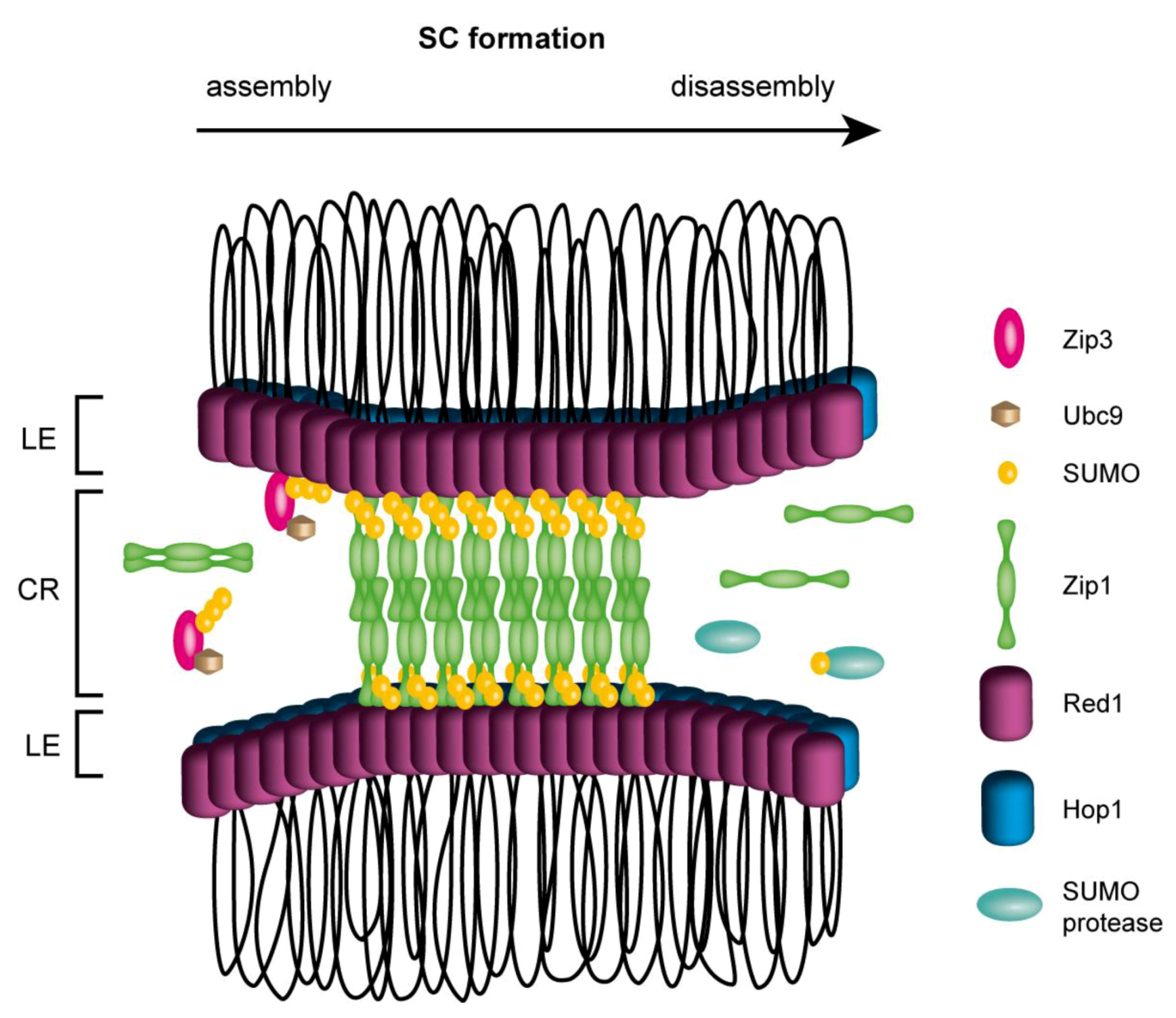 Biomolecules 02 00350 g002