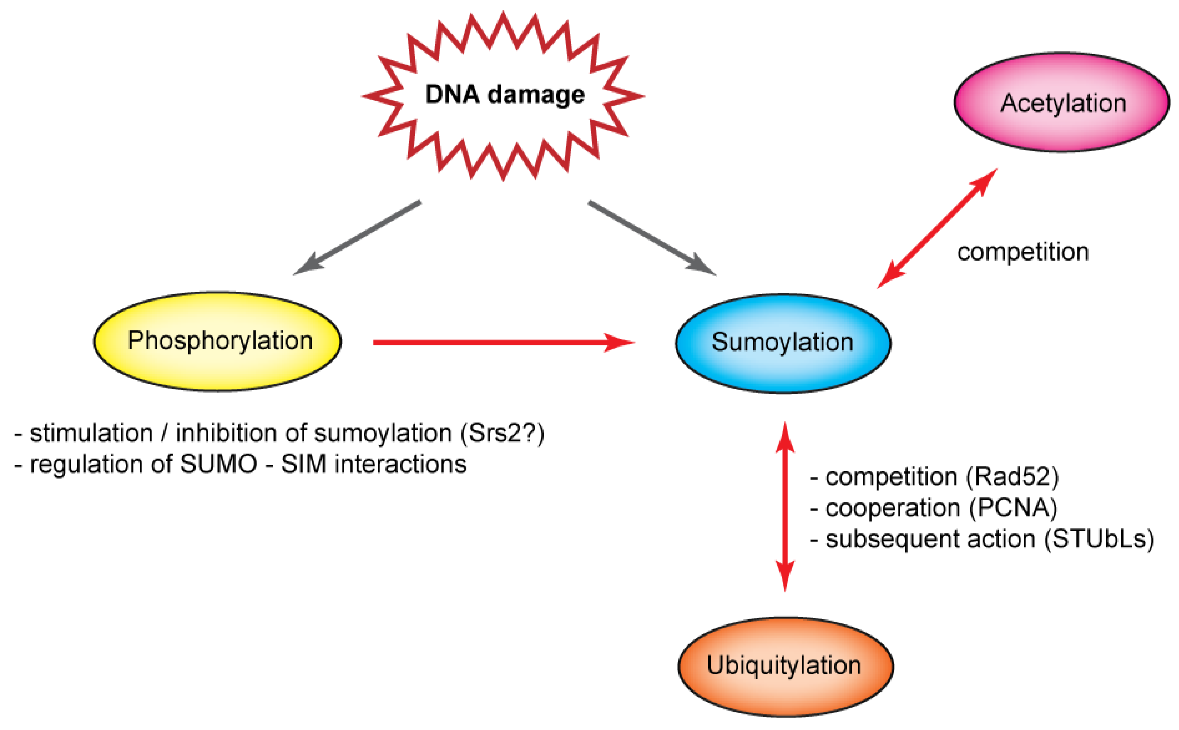Biomolecules 02 00350 g003