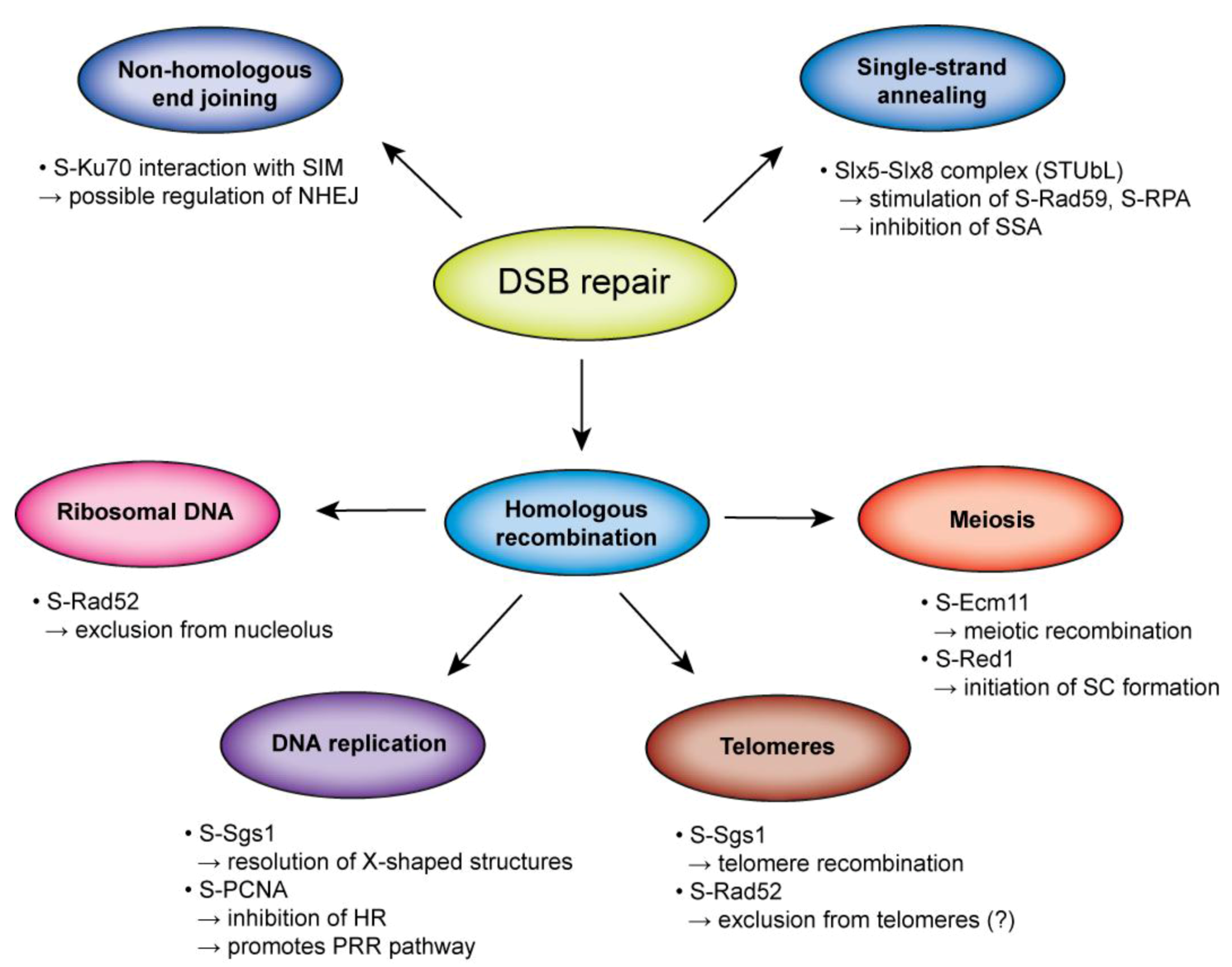 Biomolecules 02 00350 g004