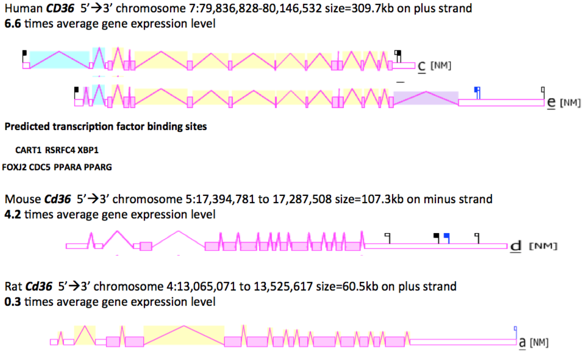 Biomolecules 02 00389 g003