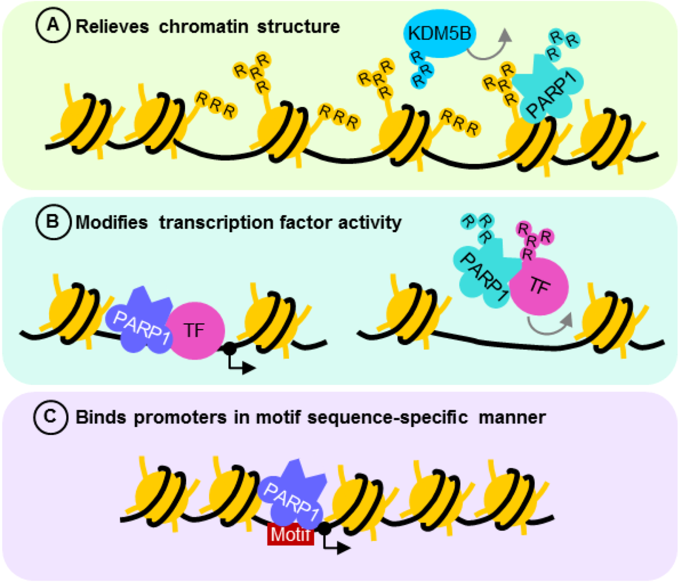 Biomolecules 02 00524 g003