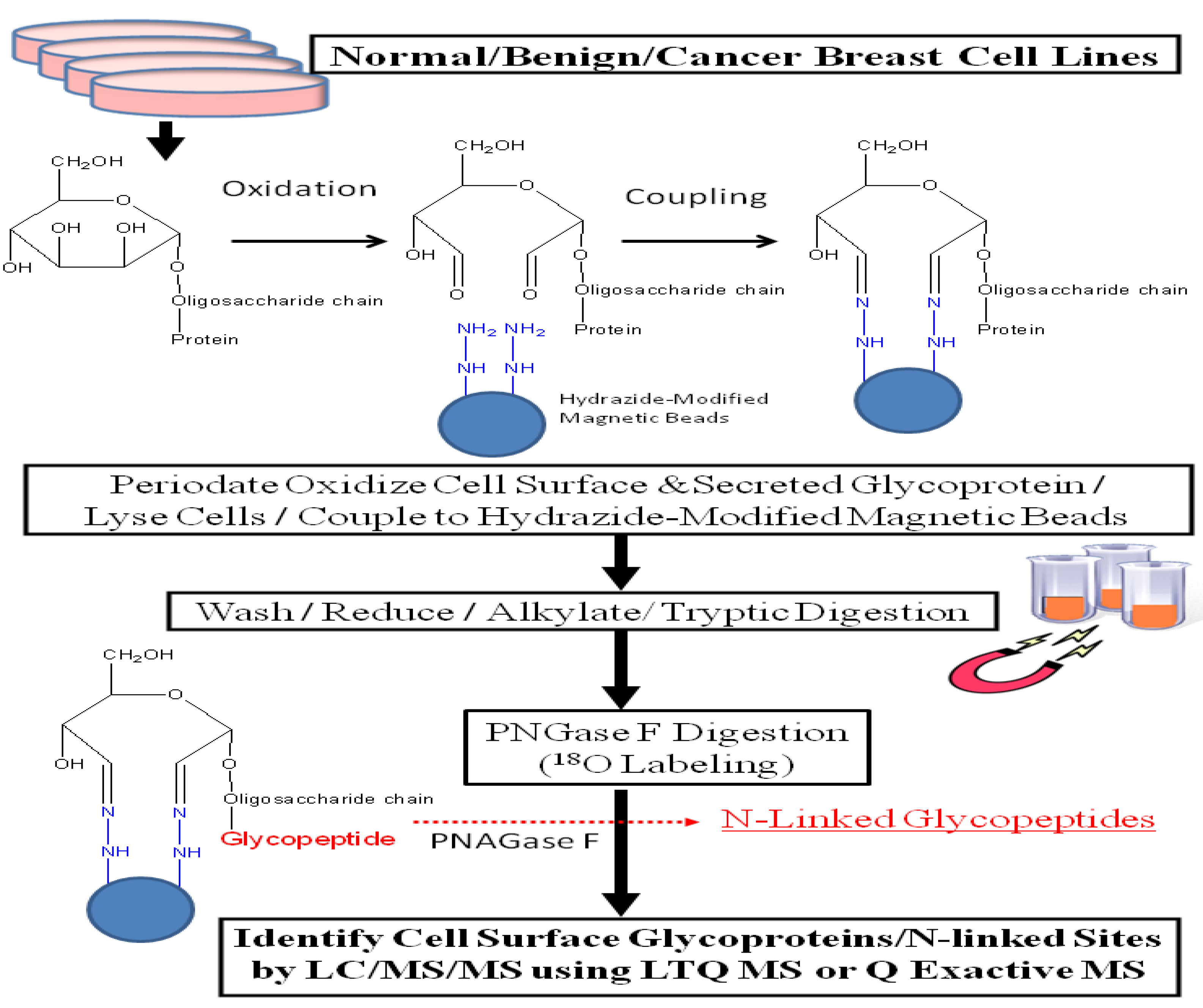 Biomolecules 03 00270 g001 1024