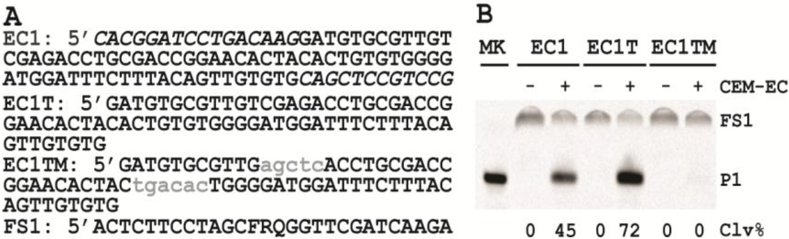 Biomolecules 03 00563 g001