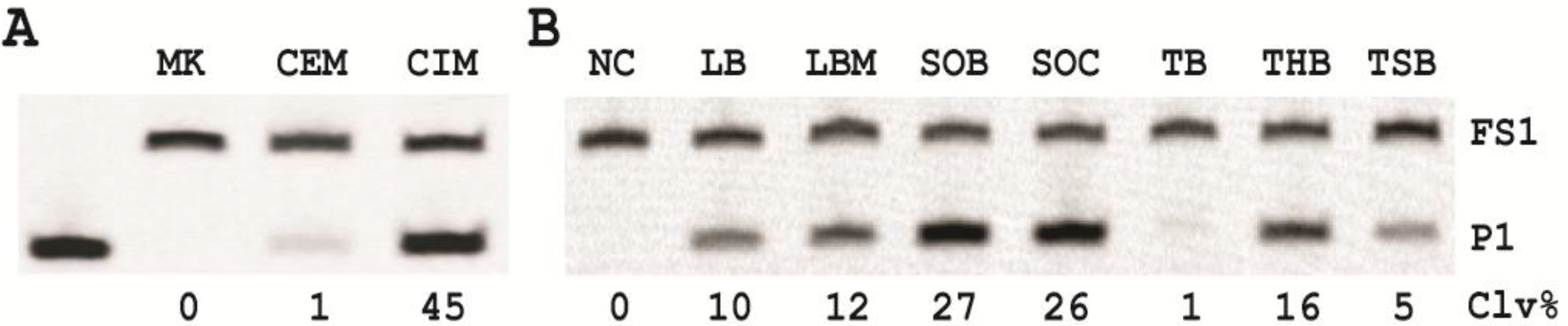 Biomolecules 03 00563 g002