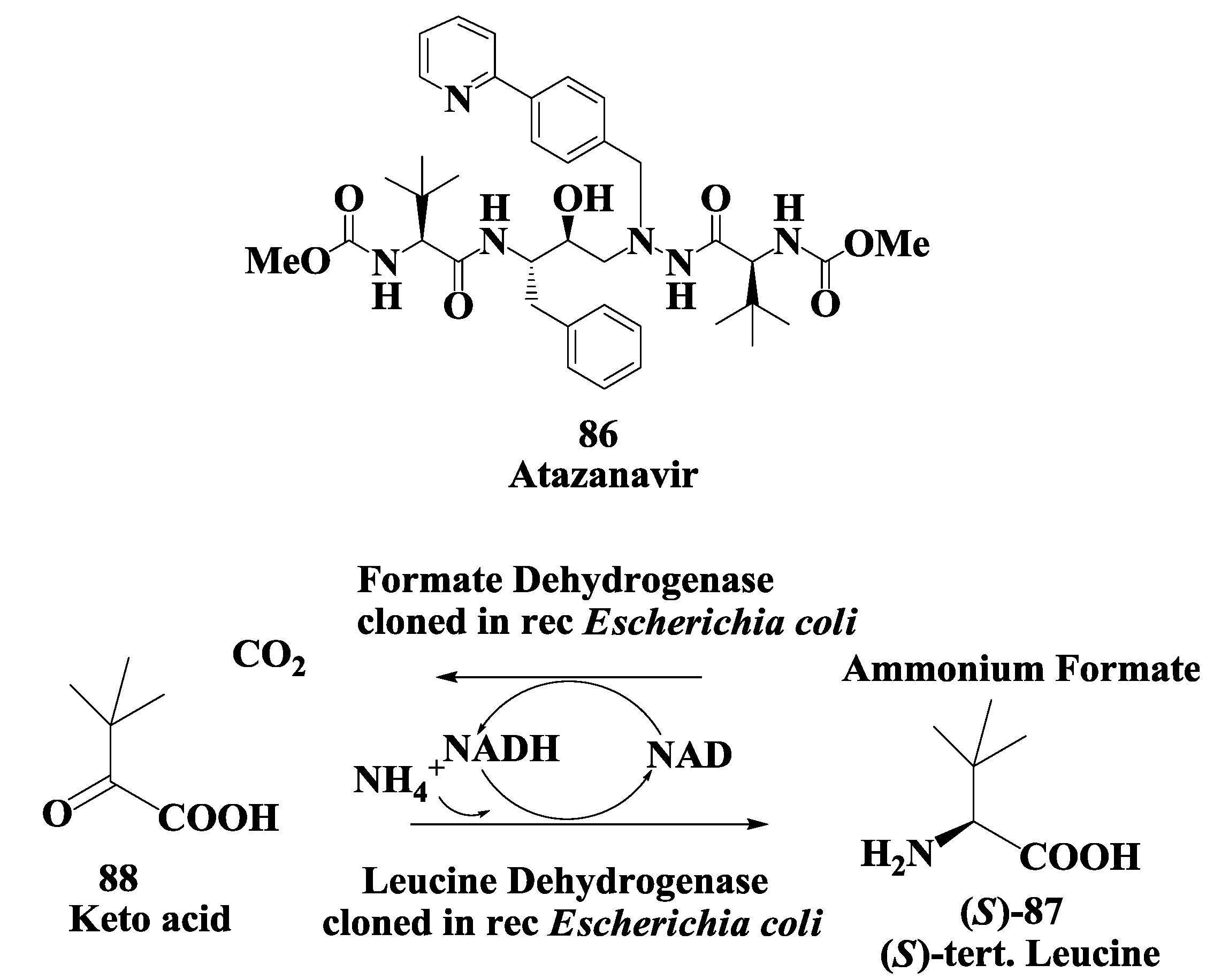 Biomolecules 03 00741 g022 1024