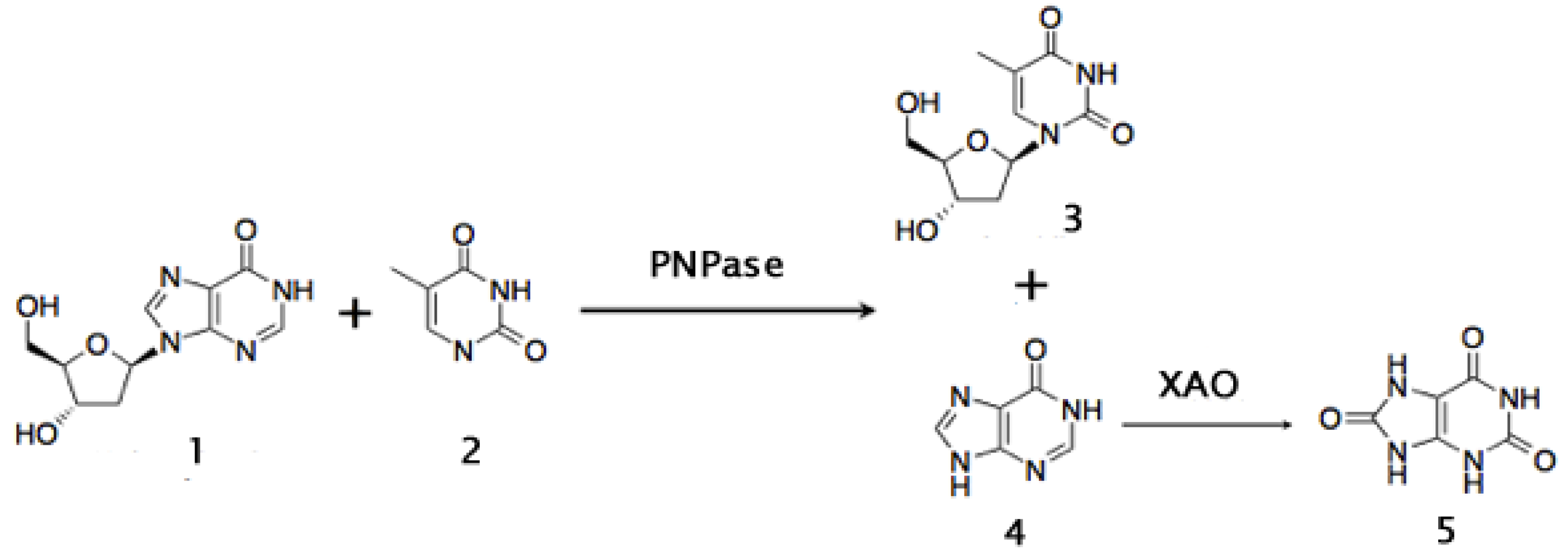 Biomolecules 03 00812 g009