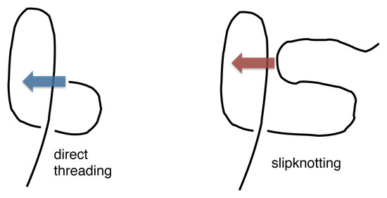Biomolecules Special Issue Protein Folding And Misfolding