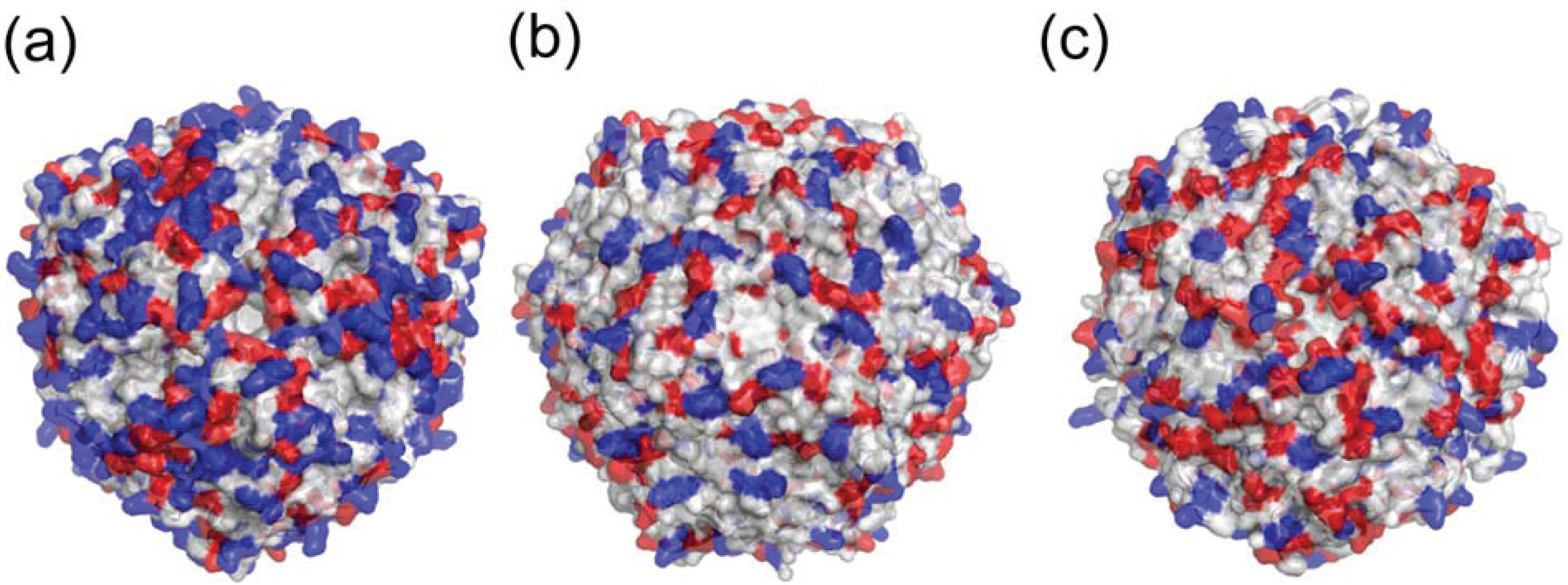 Biomolecules 04 00600 g007
