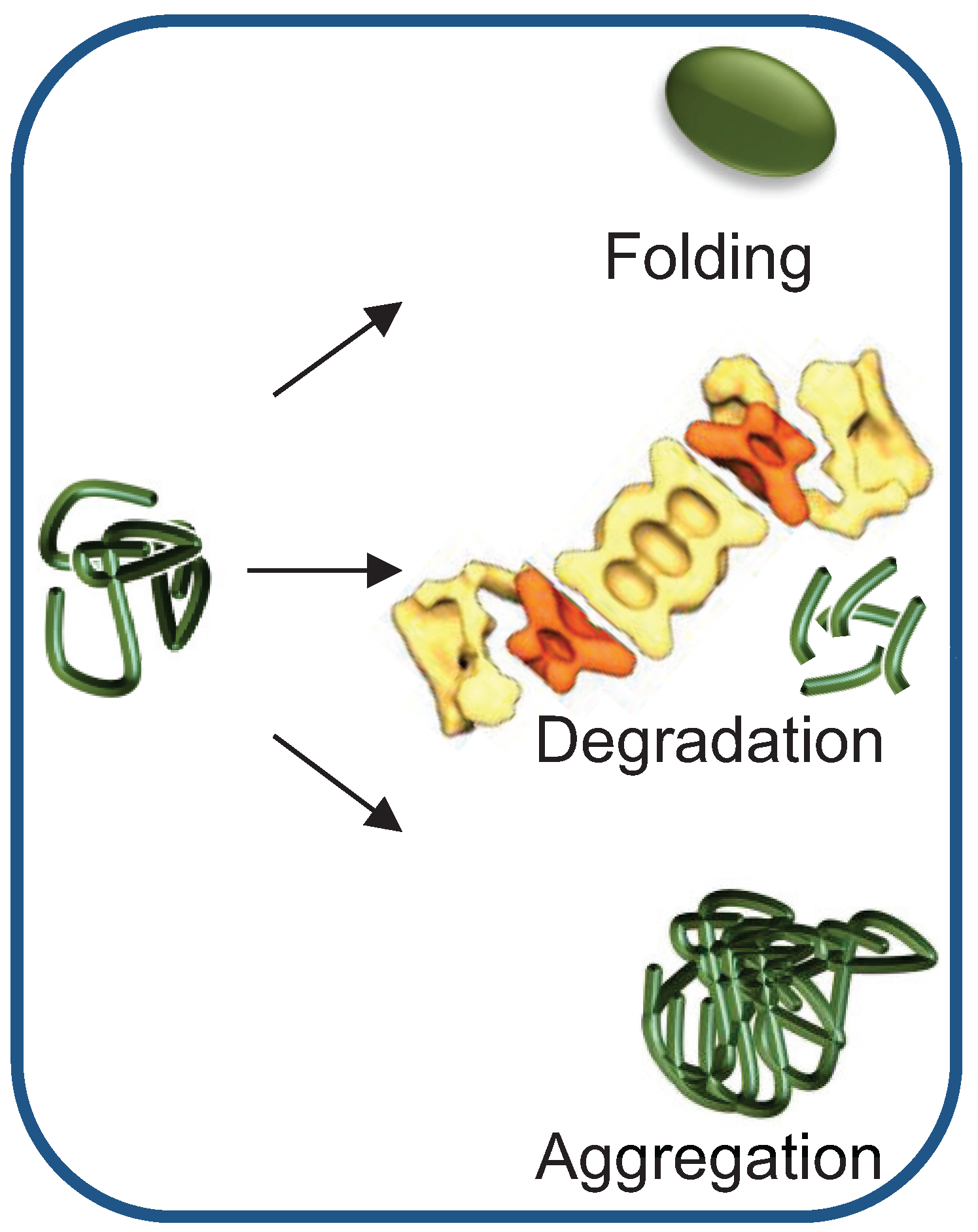 Biomolecules 04 00704 g001