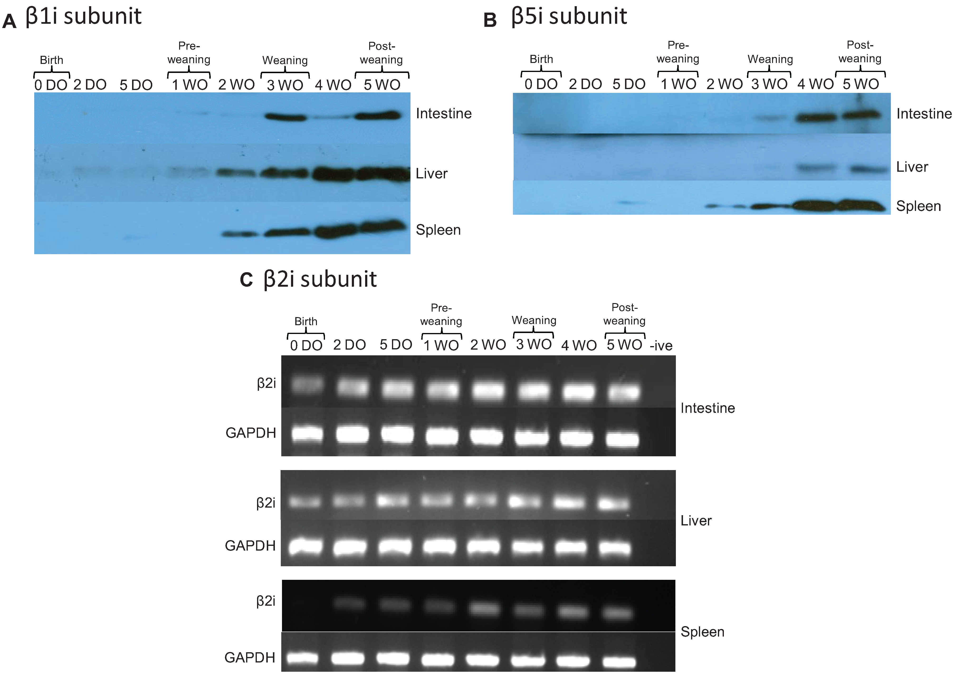 Biomolecules 04 00812 g004 550
