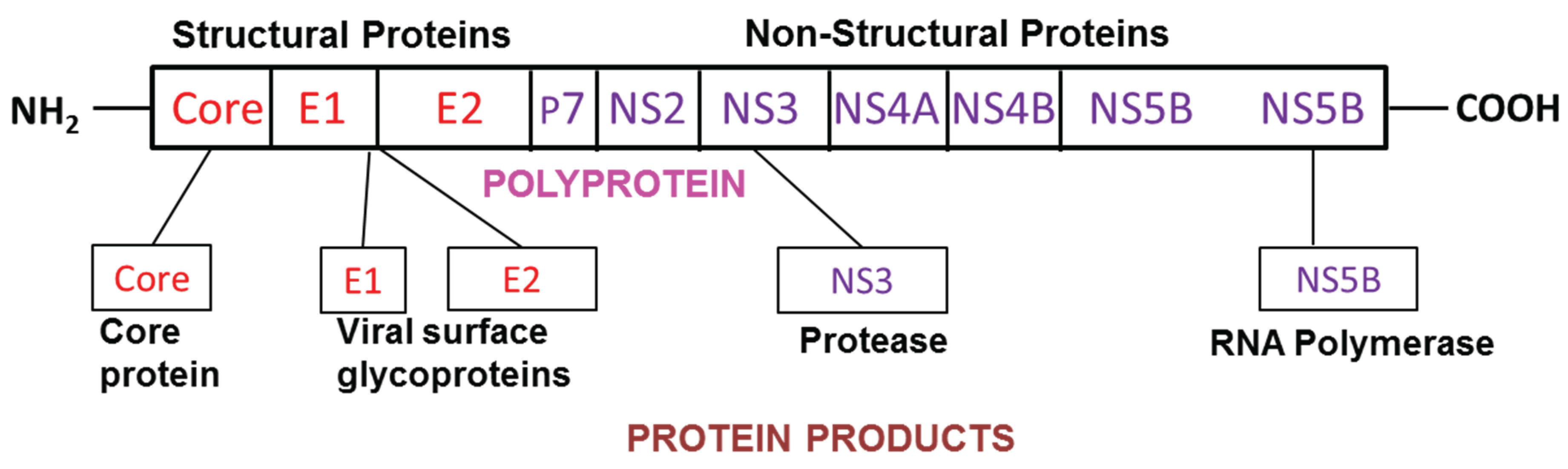 Biomolecules 05 00076 g001 1024