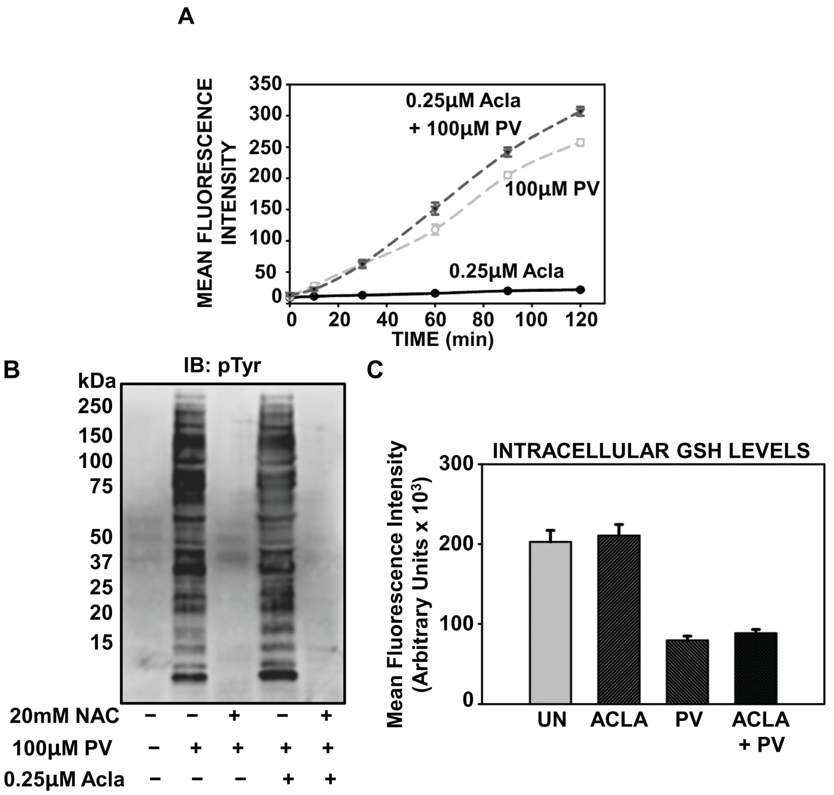 Biomolecules 05 00095 g005 1024