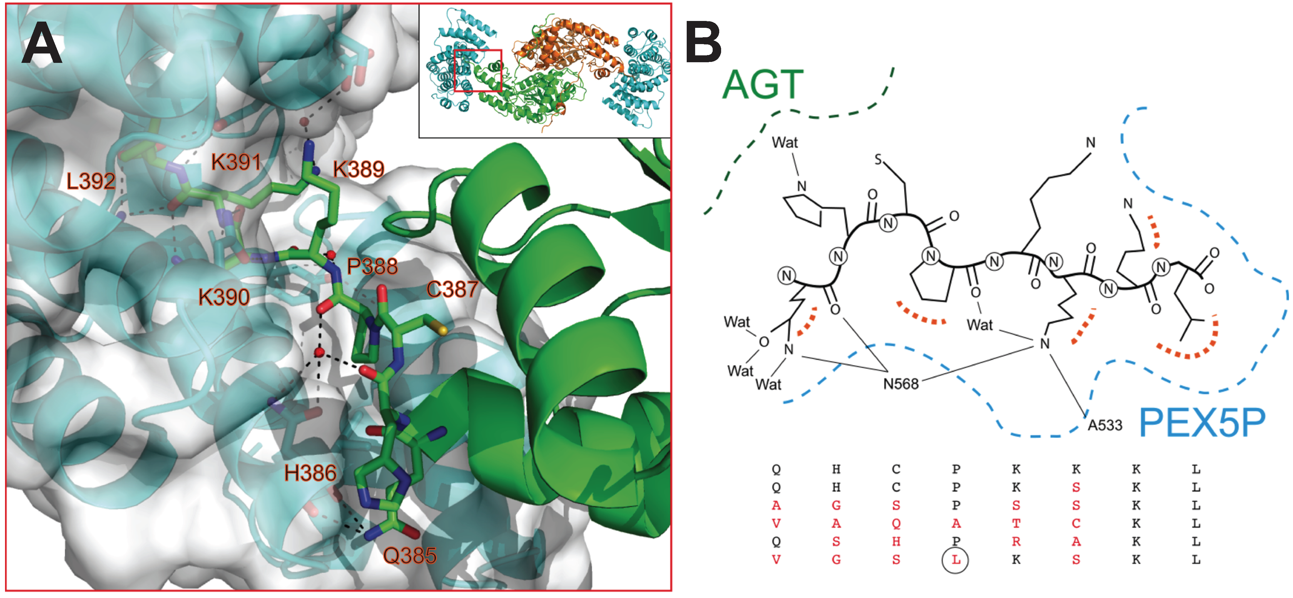 Biomolecules 05 00121 g002 1024