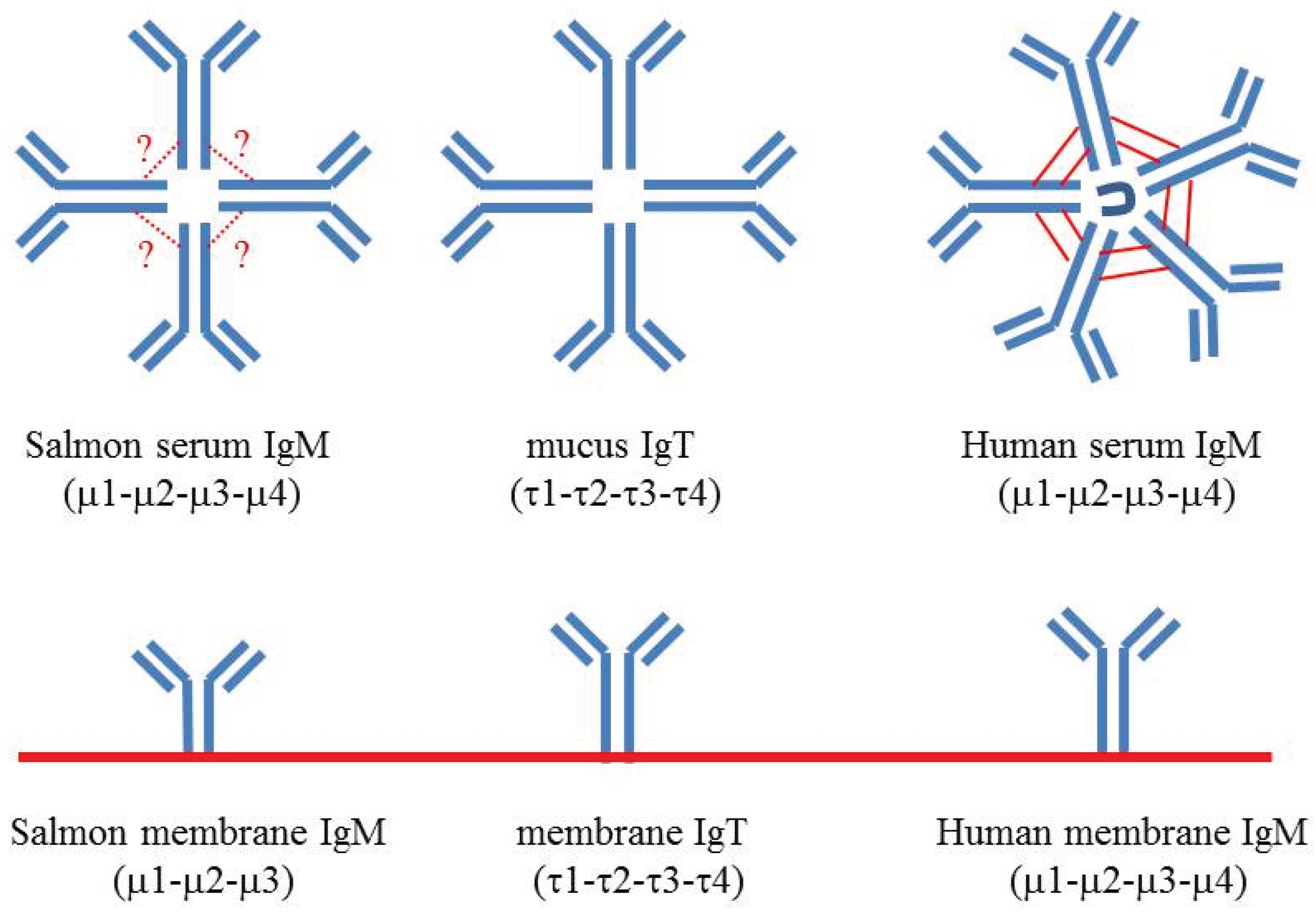 Biomolecules 05 00166 g001