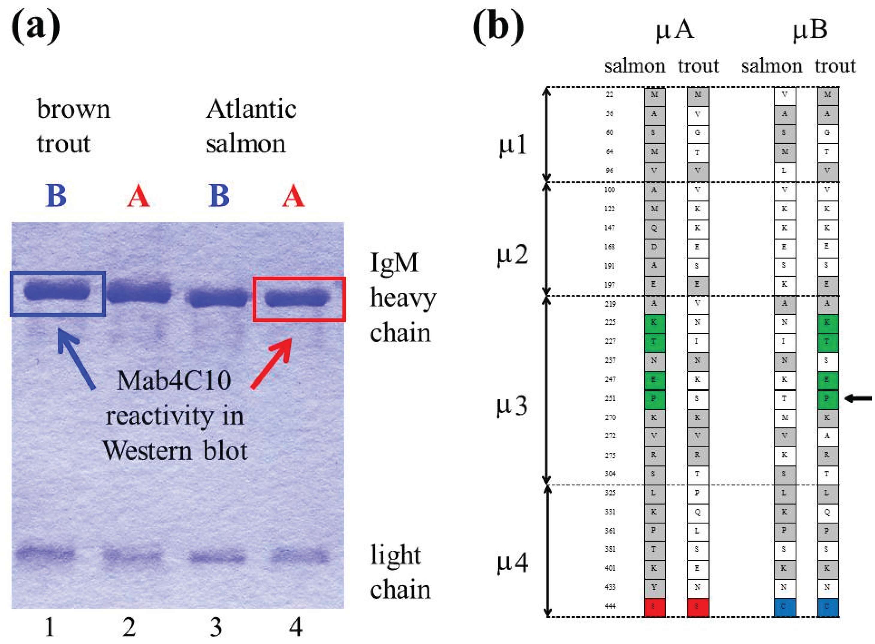 Biomolecules 05 00166 g002