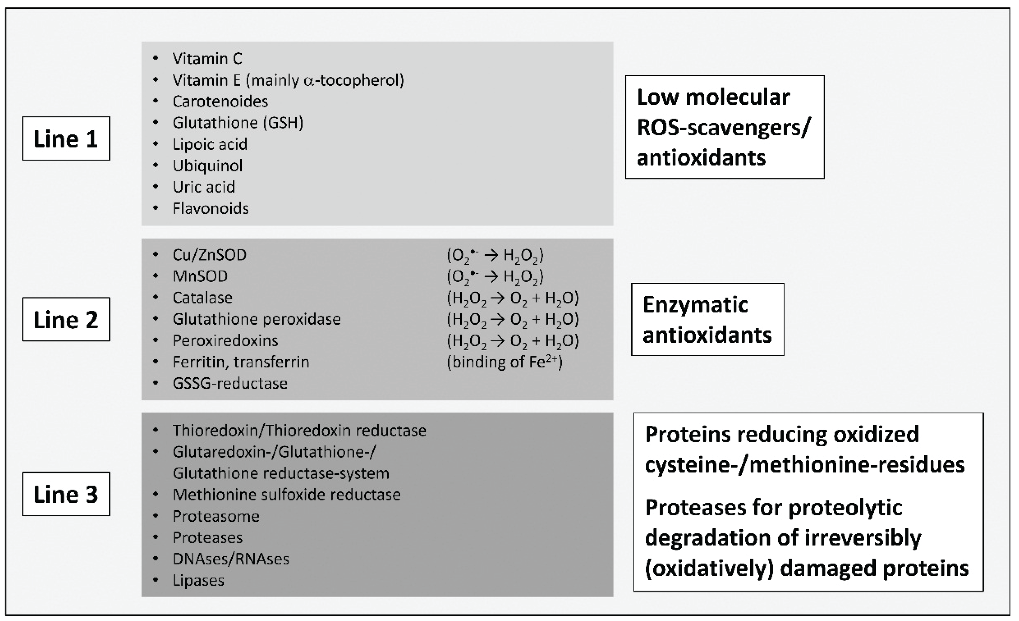 Biomolecules 05 00194 g001 1024