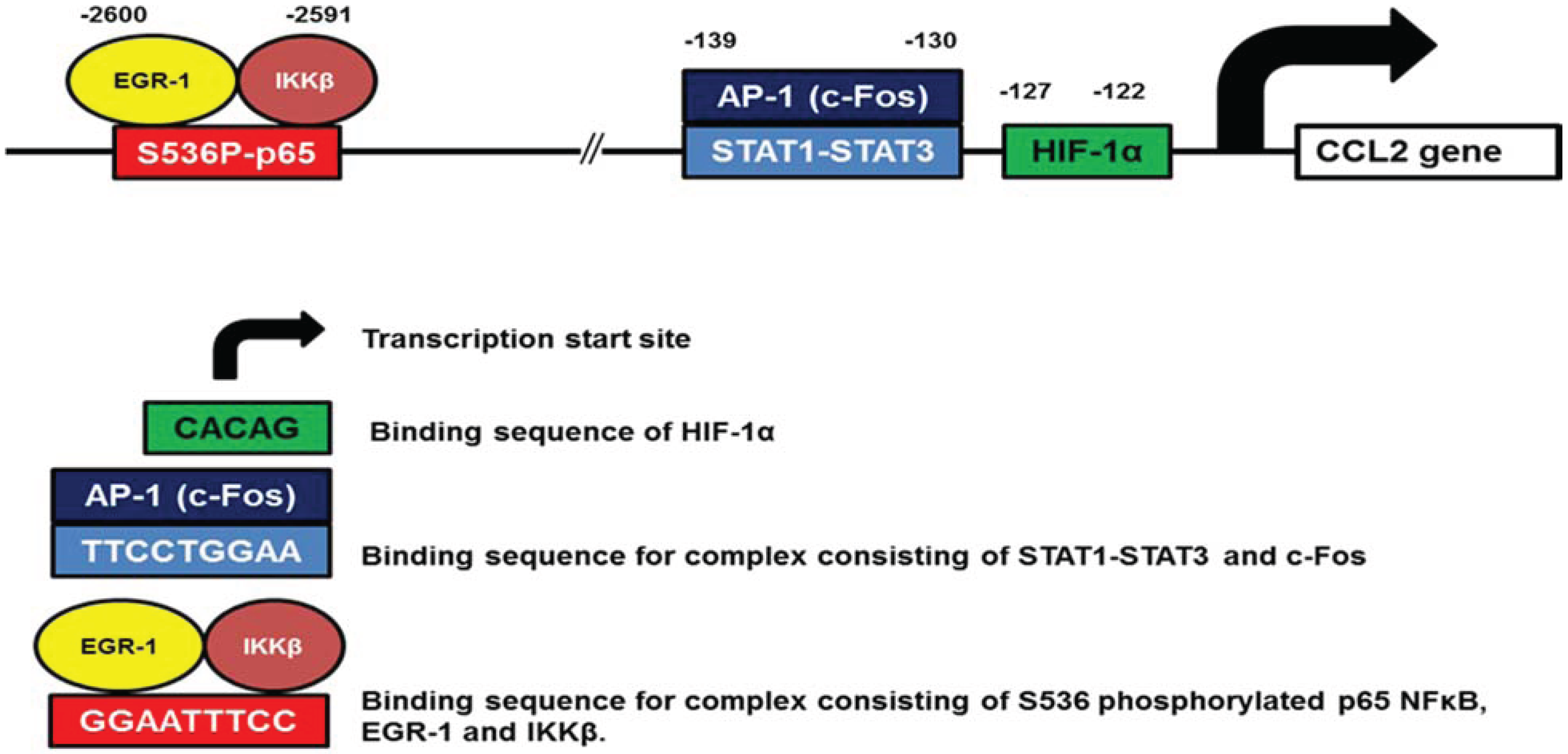 Biomolecules 05 00223 g001 1024