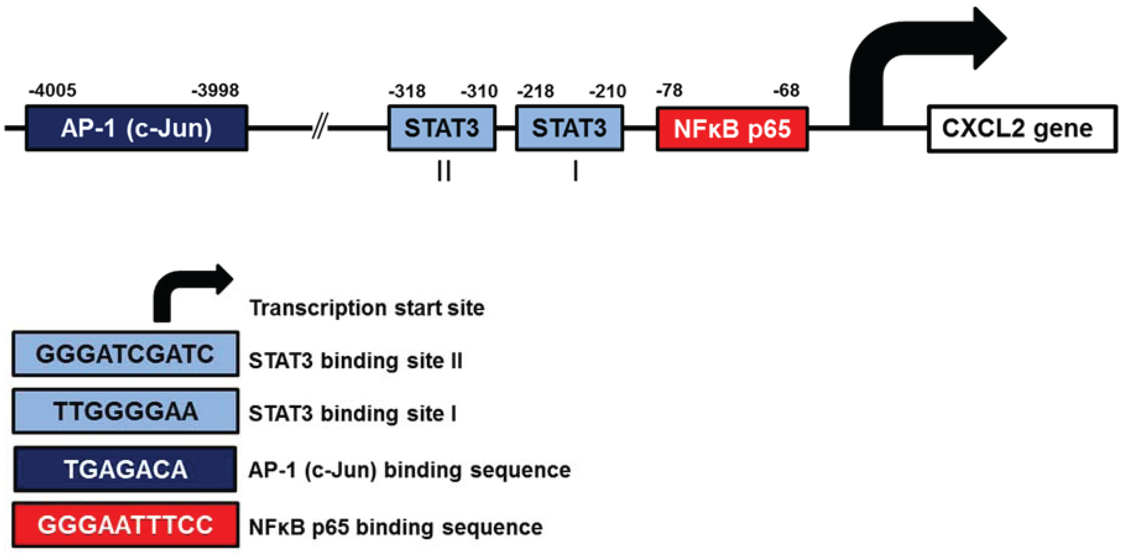 Biomolecules 05 00223 g003 1024