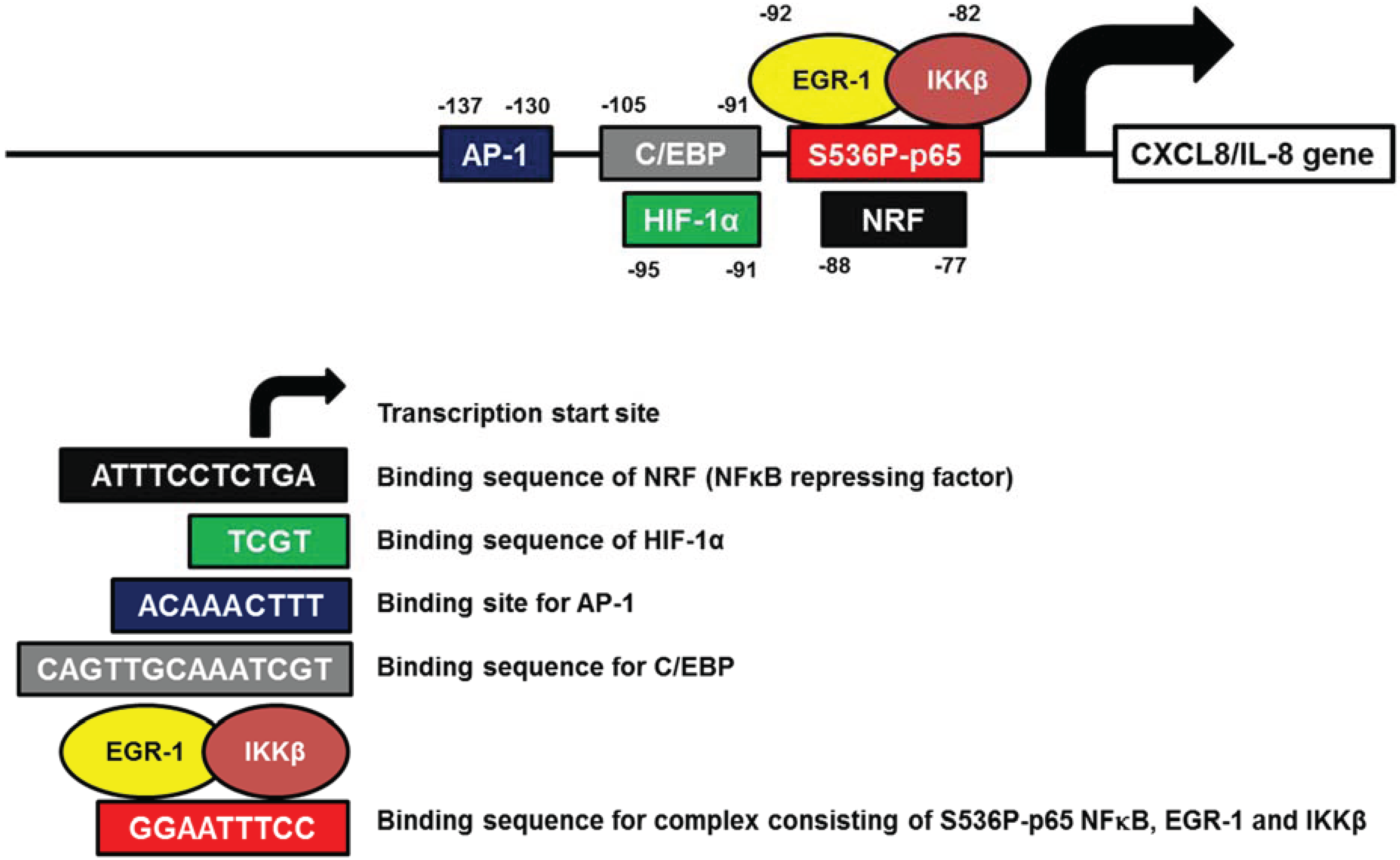 Biomolecules 05 00223 g004 1024