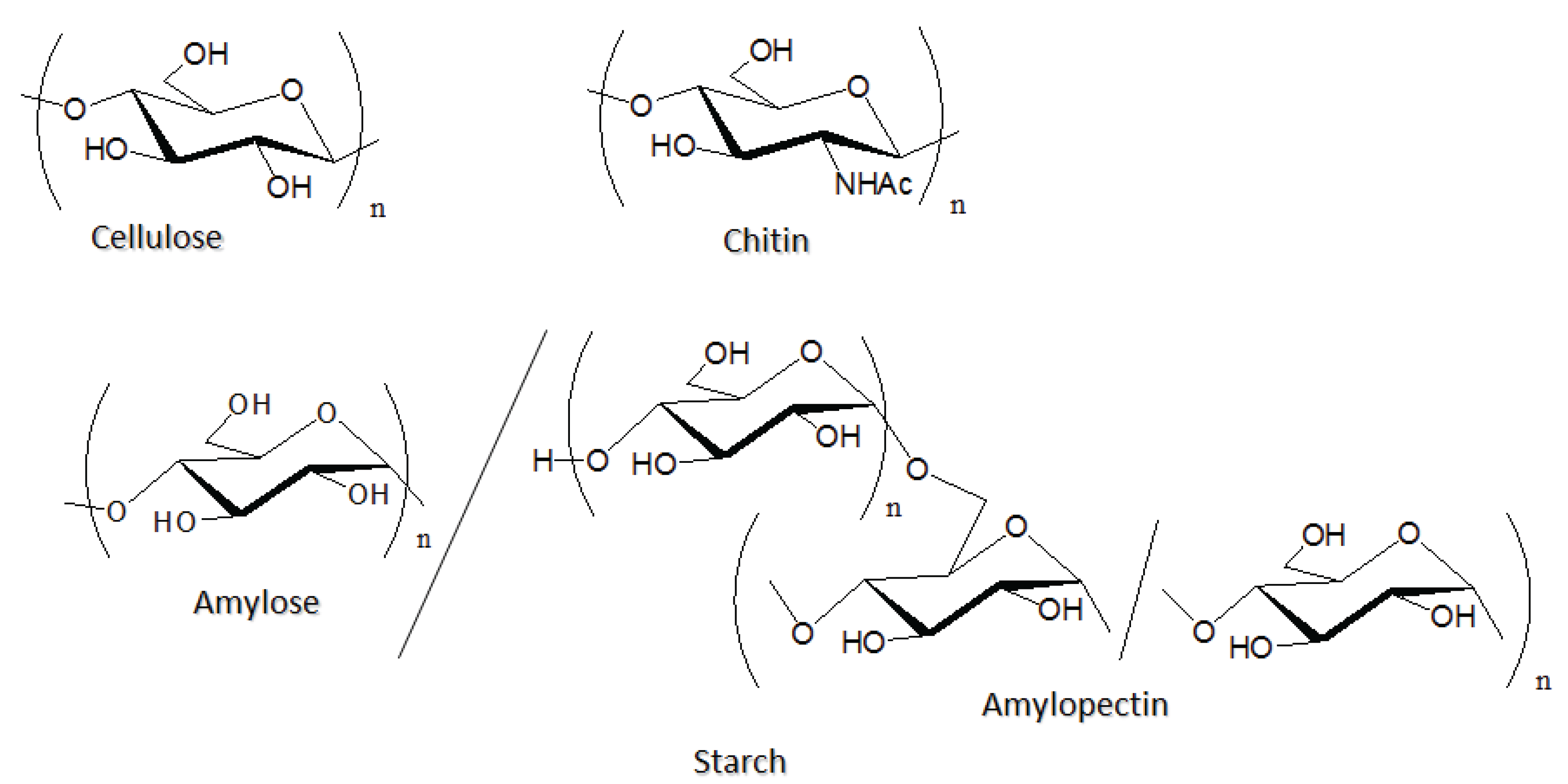 Biomolecules 05 00244 g001 1024