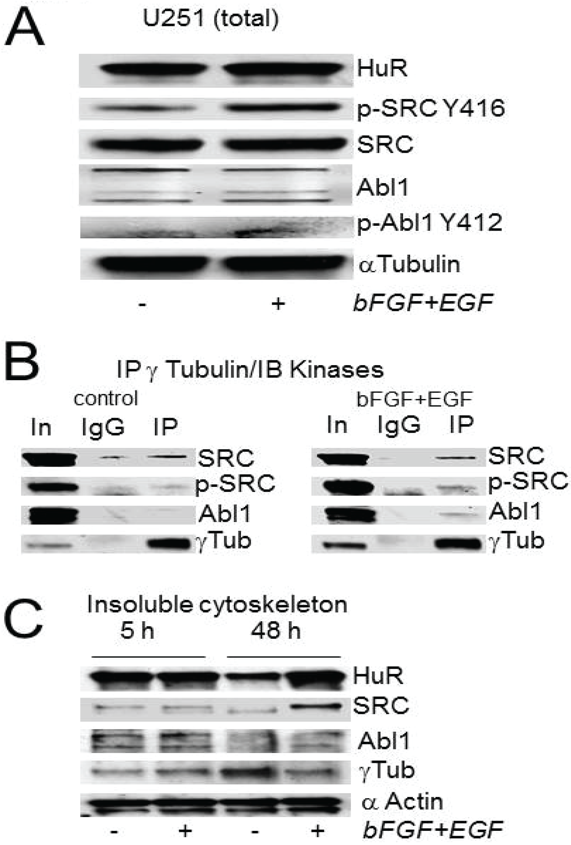 Biomolecules 05 00263 g004