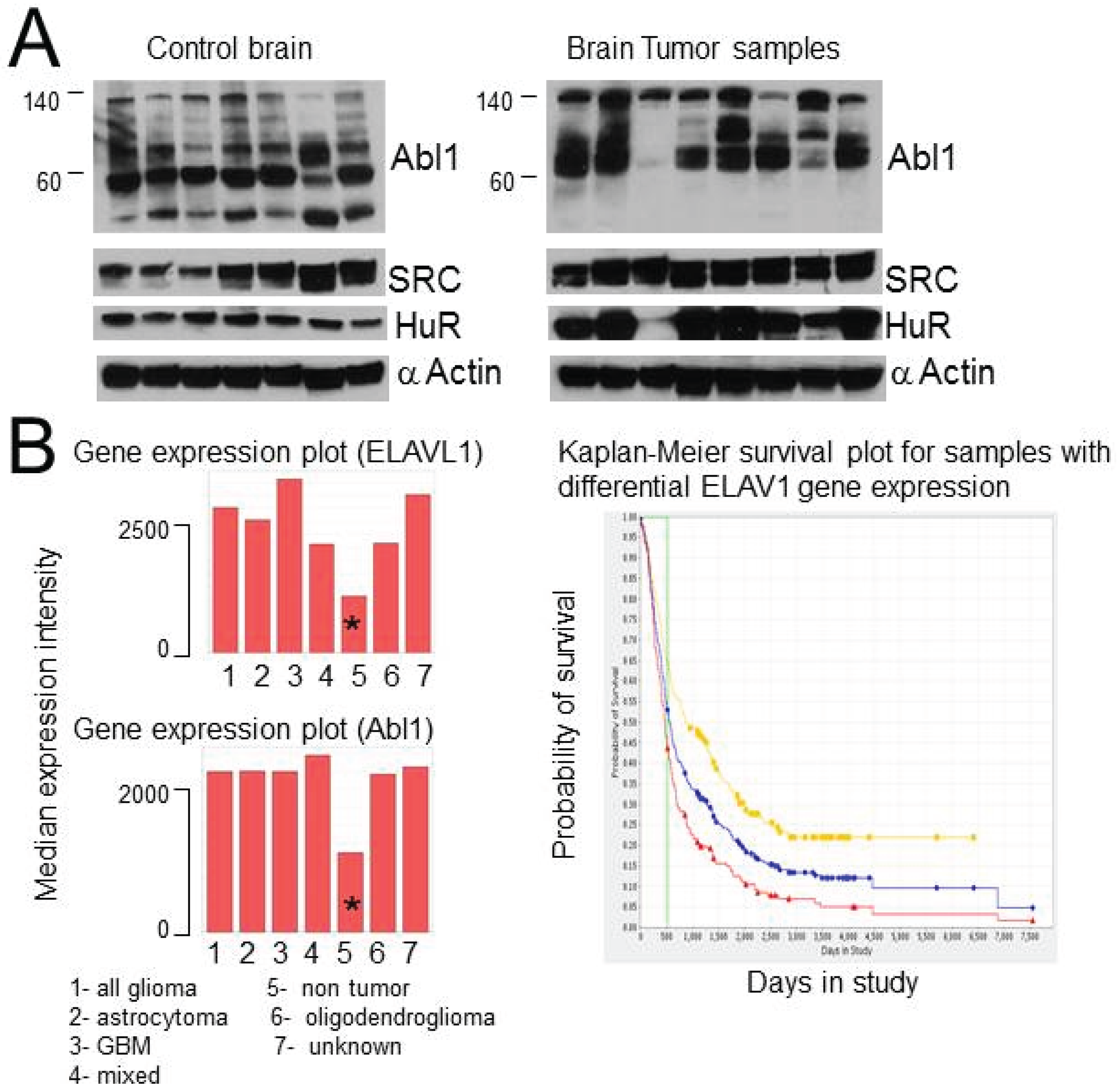 Biomolecules 05 00263 g008