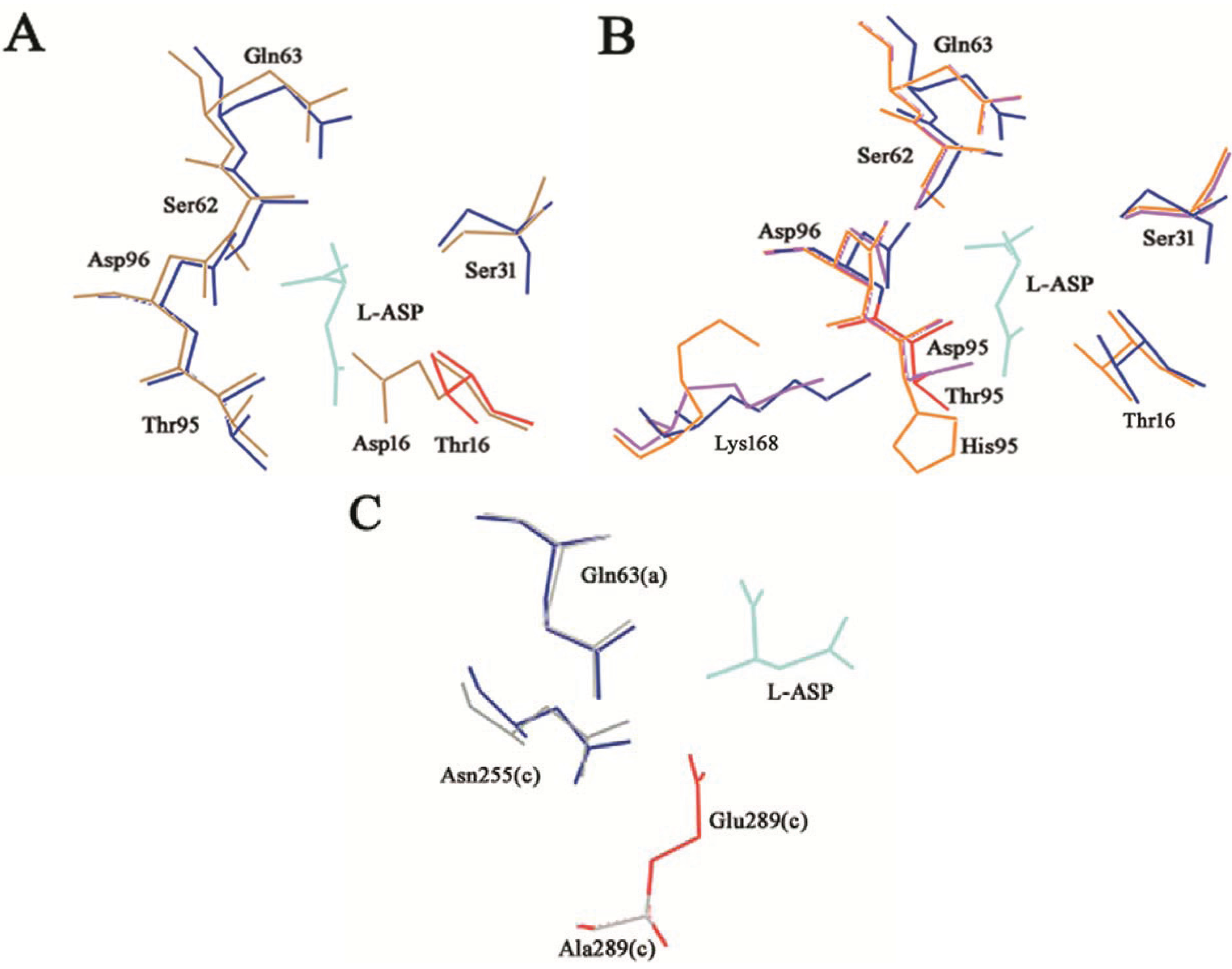 Biomolecules 05 00306 g004 1024
