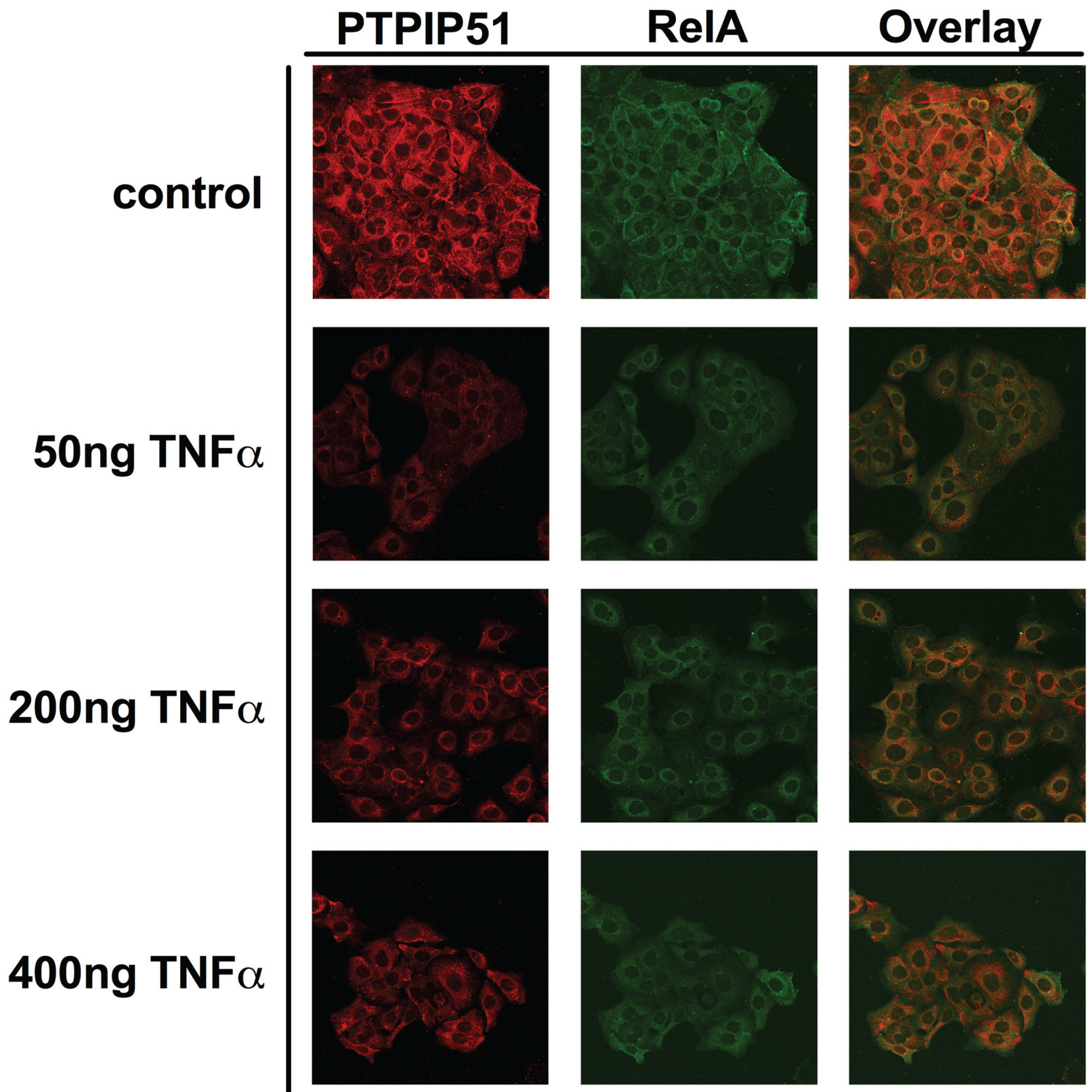 Biomolecules 05 00485 g003