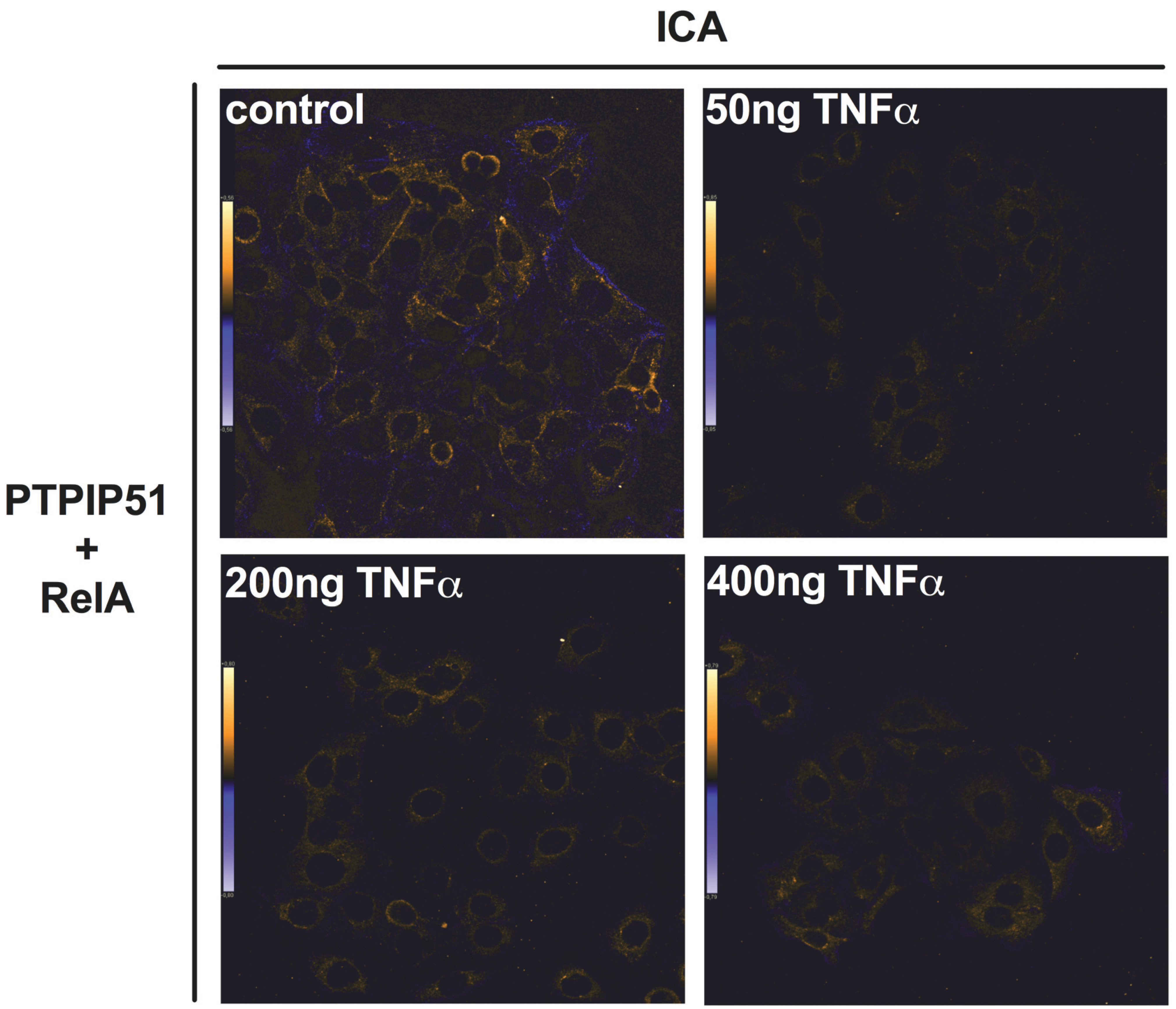 Biomolecules 05 00485 g004
