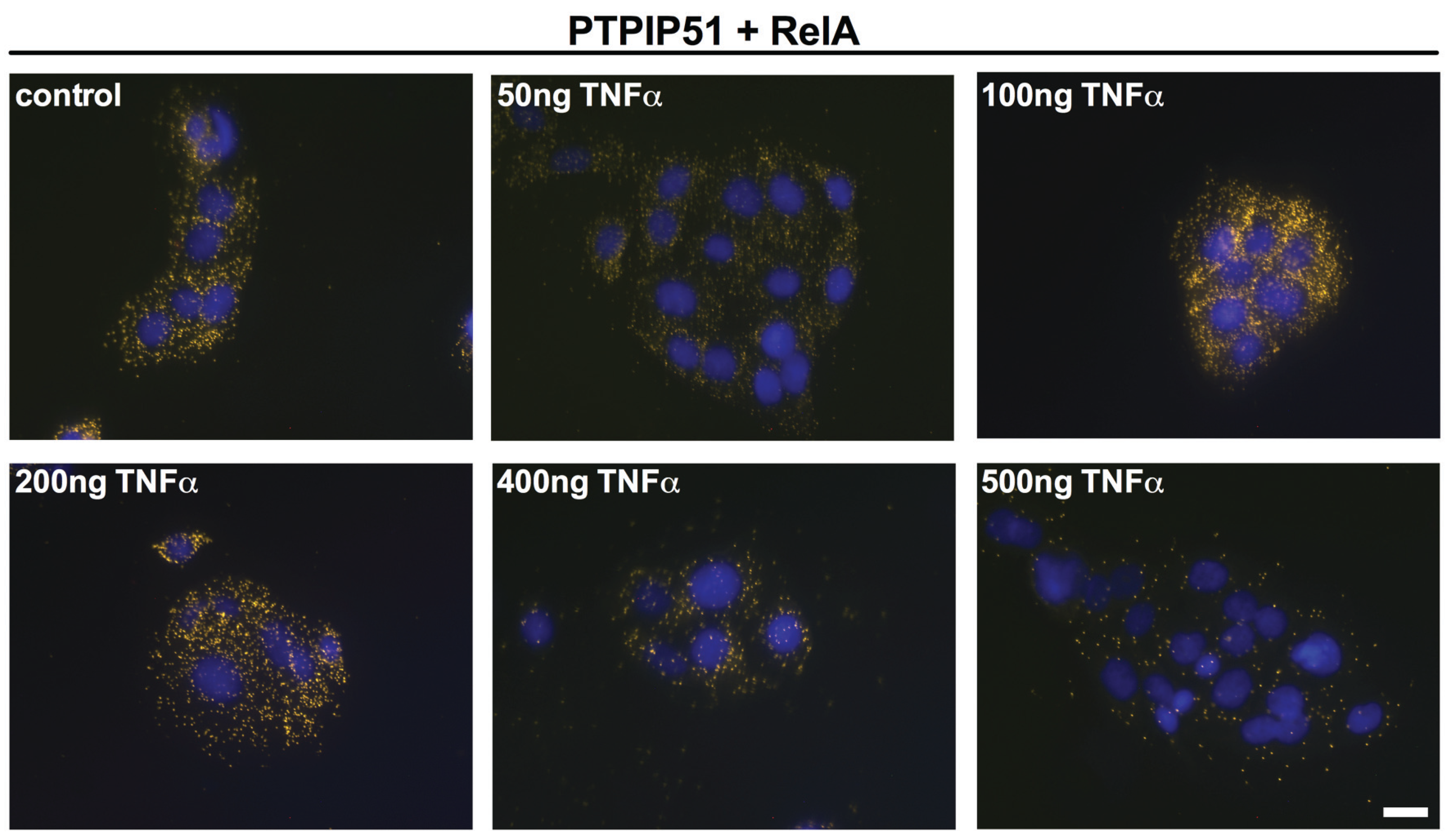 Biomolecules 05 00485 g005
