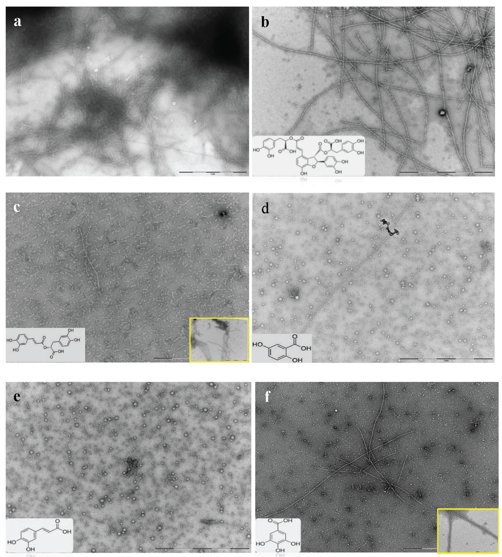 Biomolecules | Free Full-Text | Anti-Amyloidogenic Properties of 
