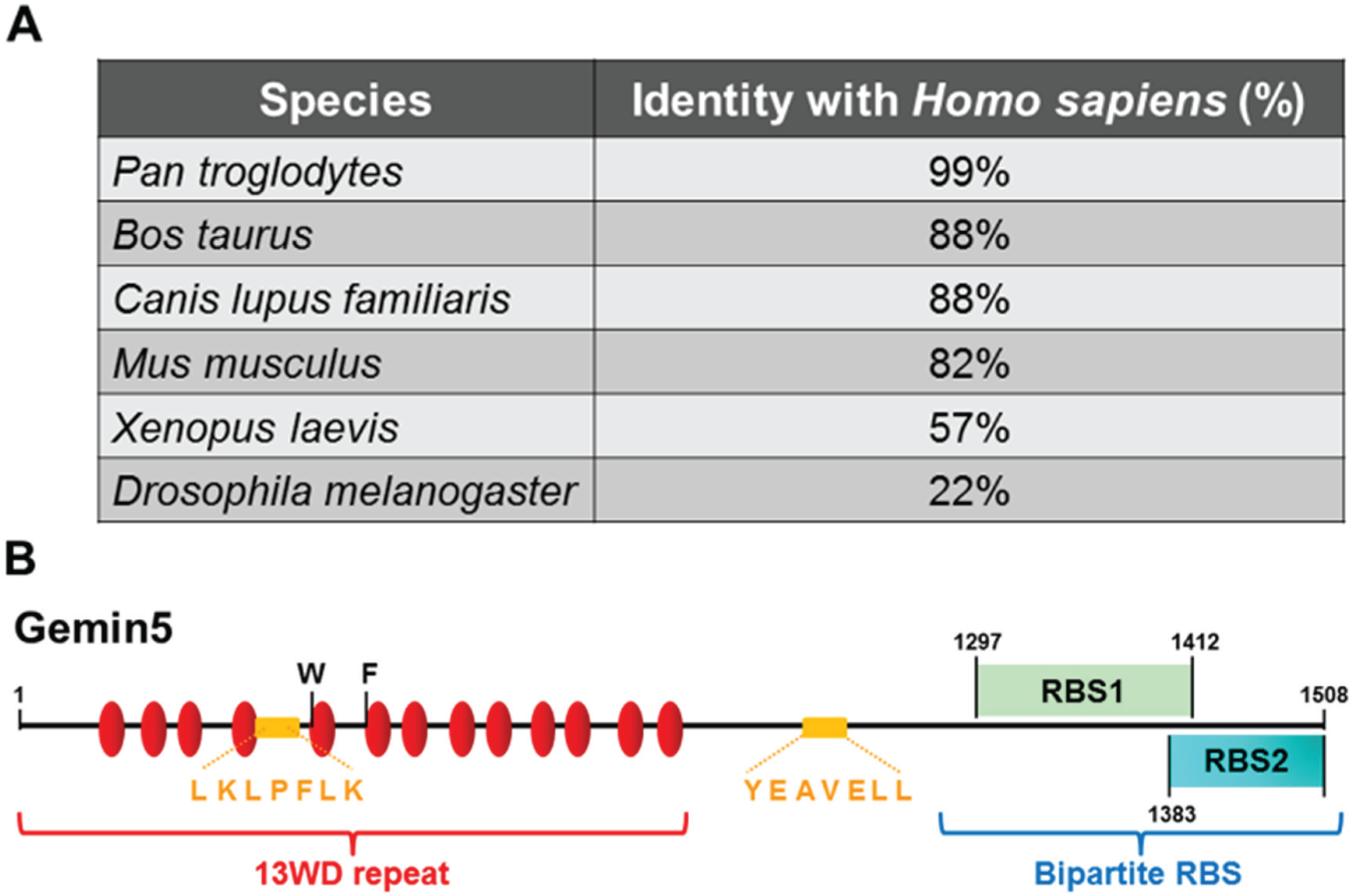 Biomolecules 05 00528 g001 1024
