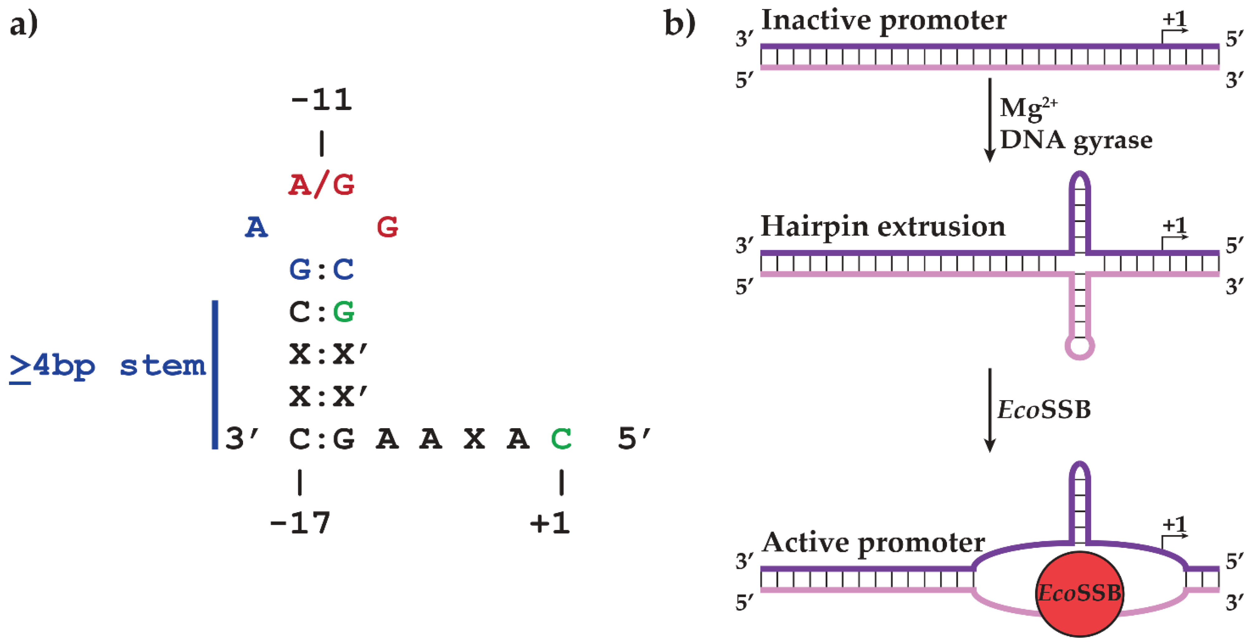 Biomolecules 05 00647 g002