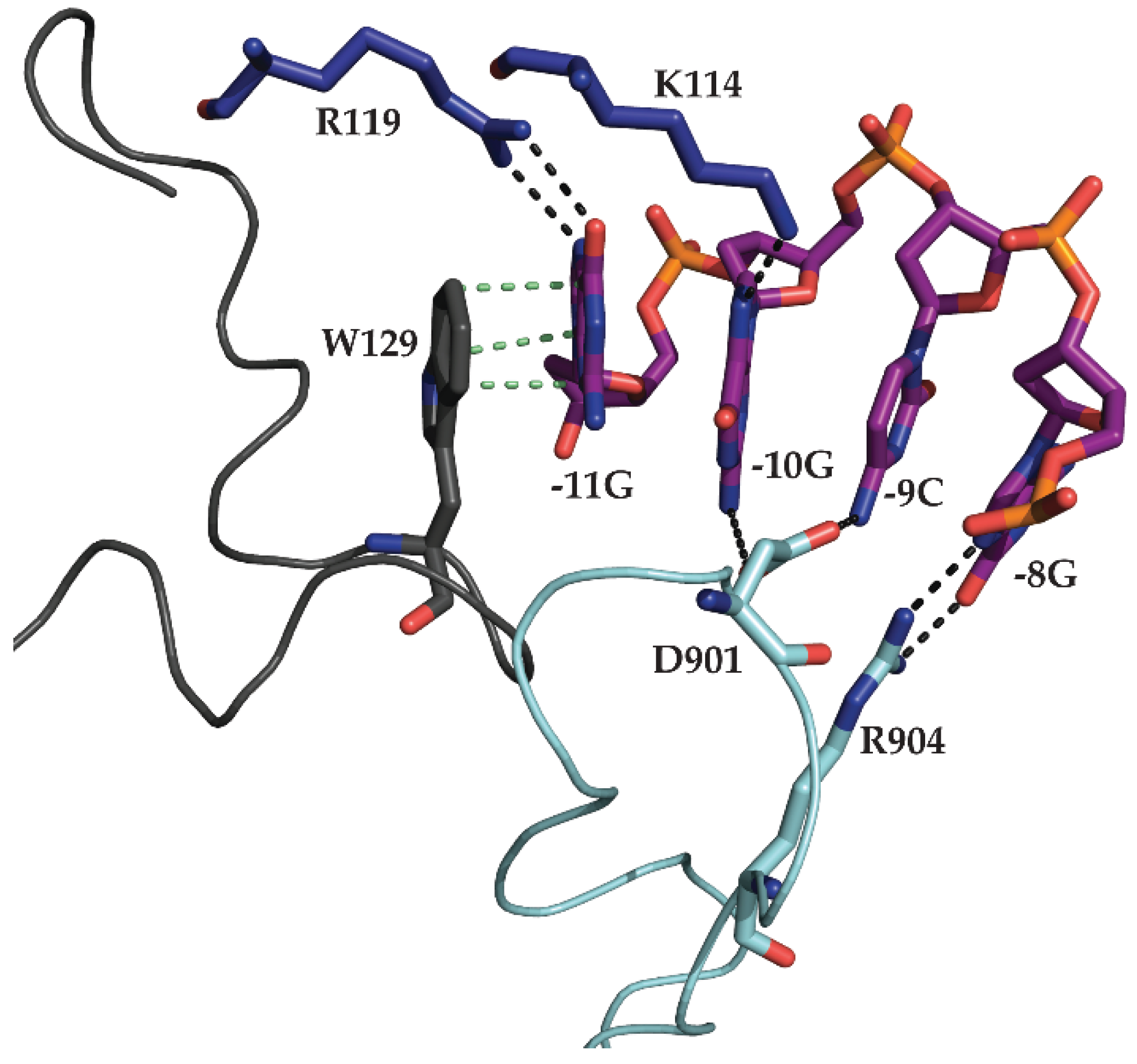 Biomolecules 05 00647 g005