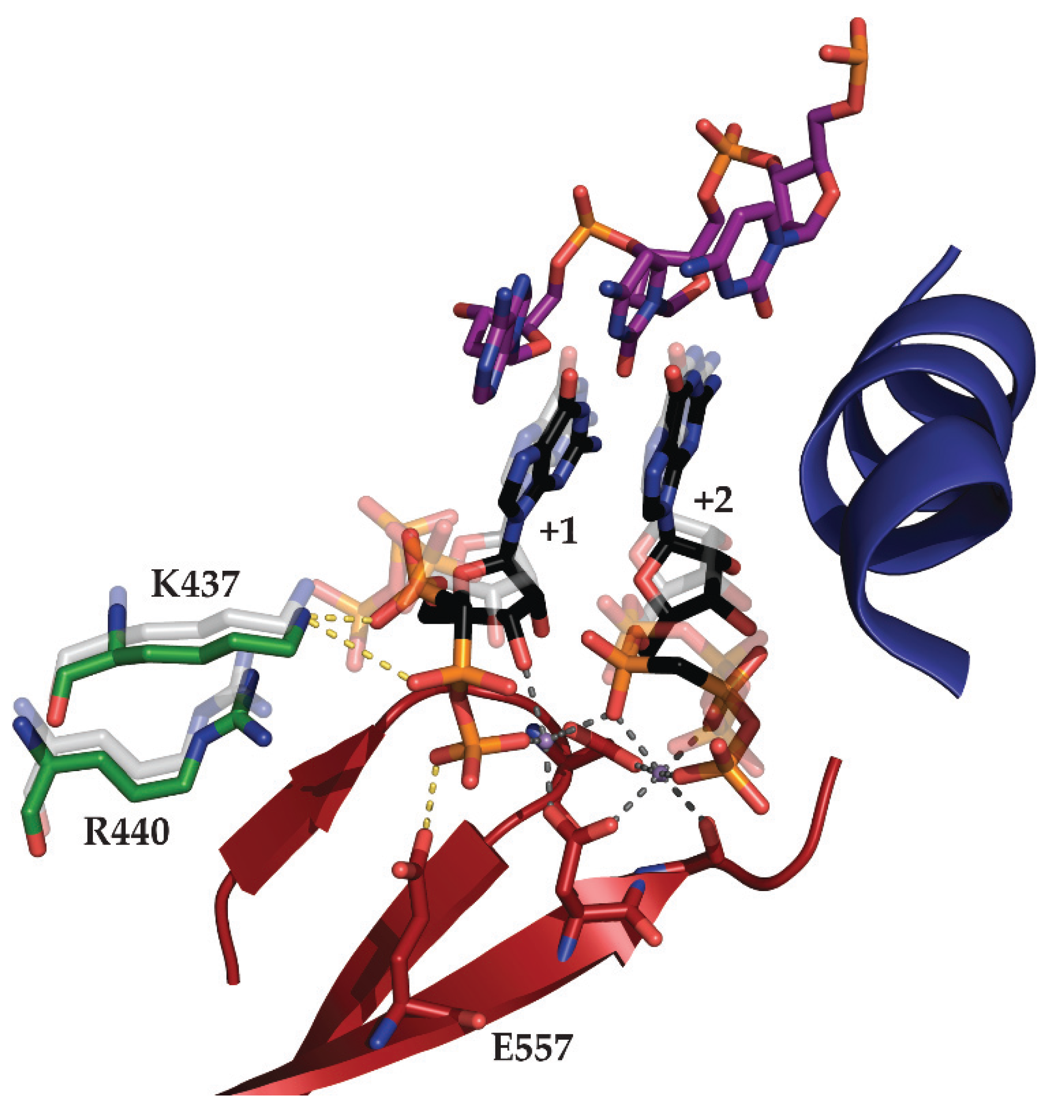 Biomolecules 05 00647 g006