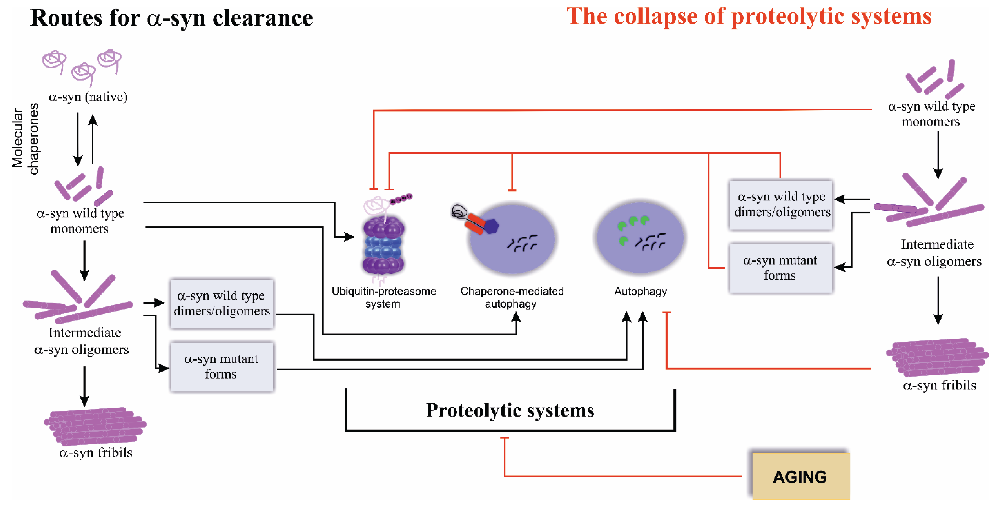 Biomolecules 05 00735 g001