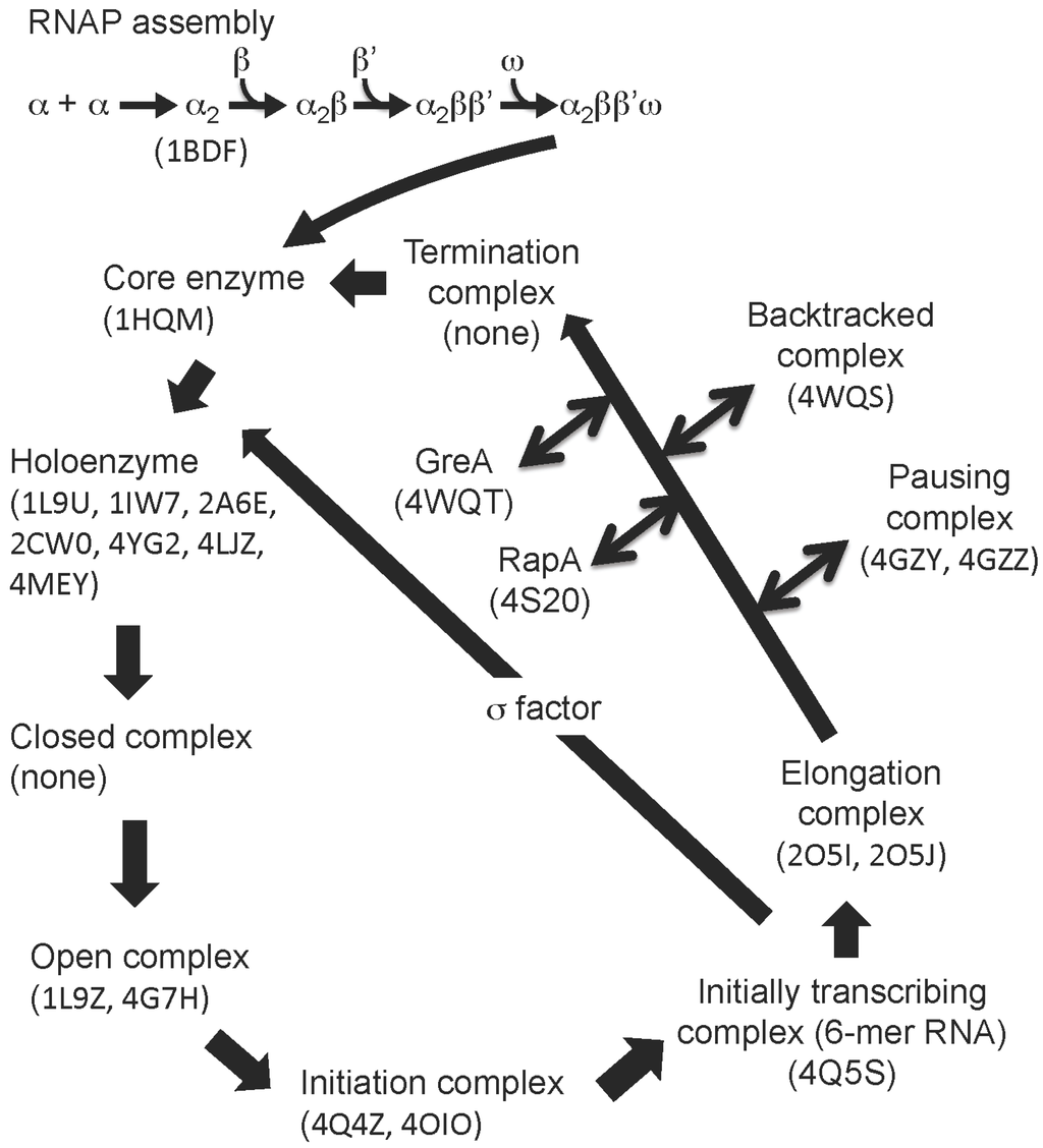 File:Card 112 codes.png - Wikimedia Commons