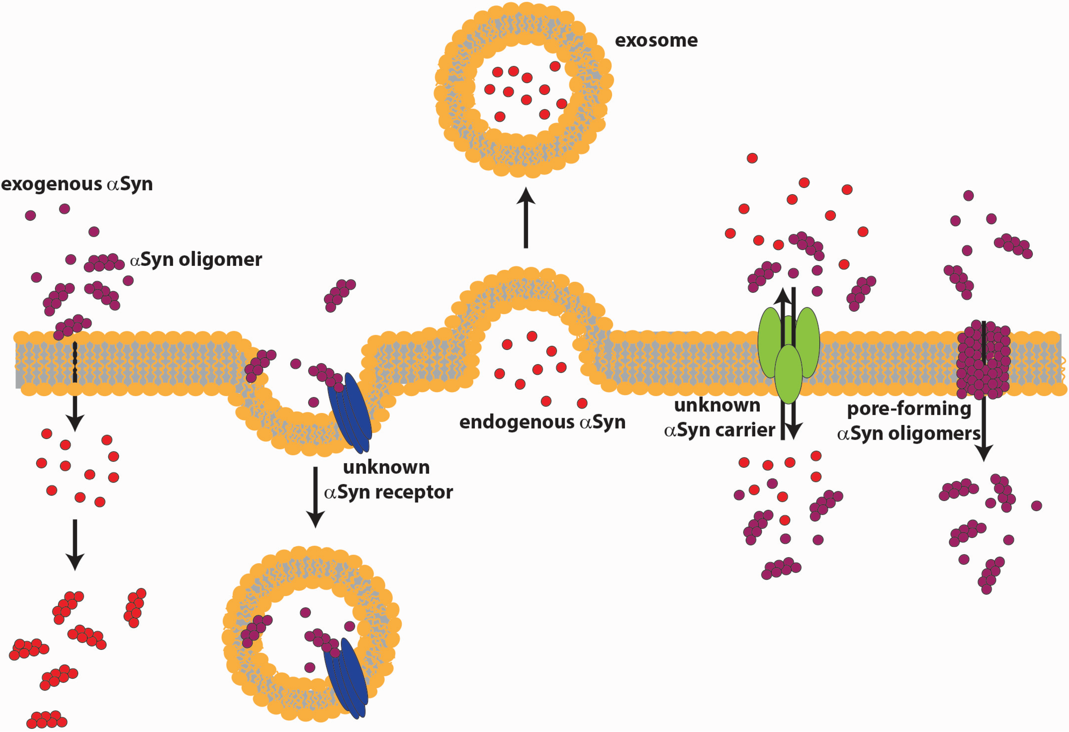 Biomolecules 05 00865 g002
