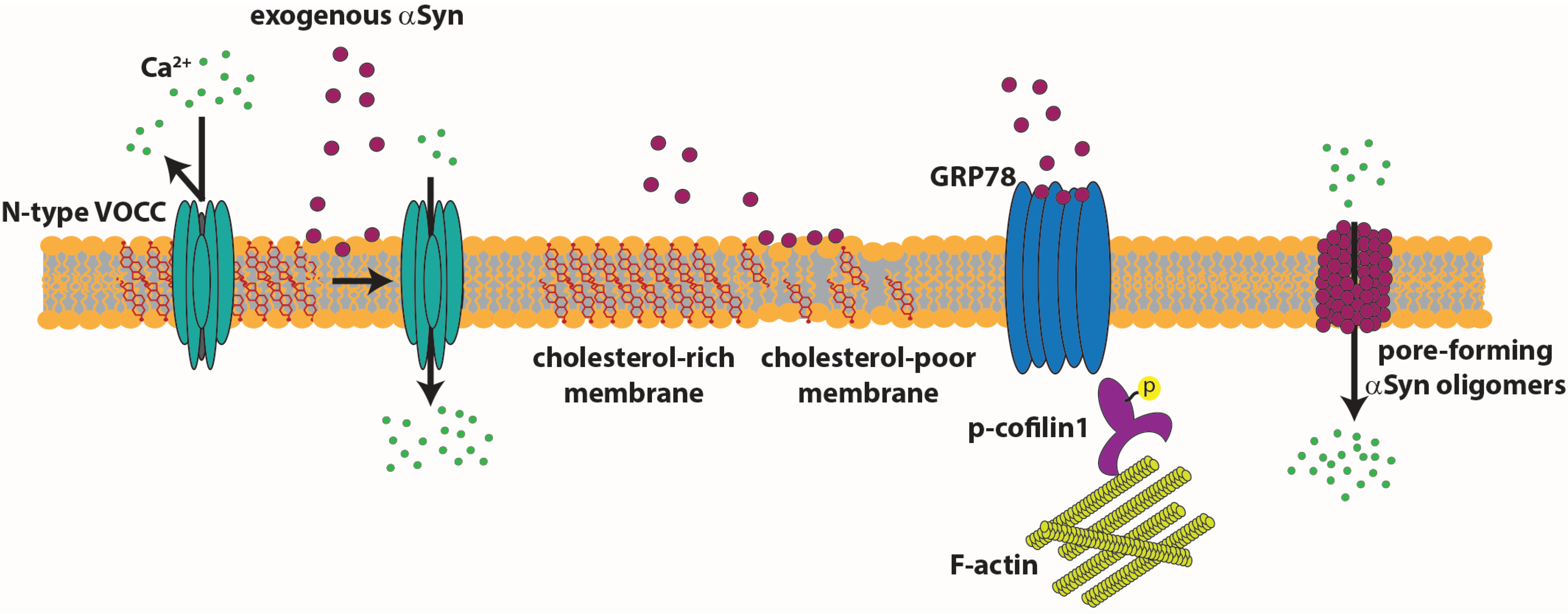 Biomolecules 05 00865 g003
