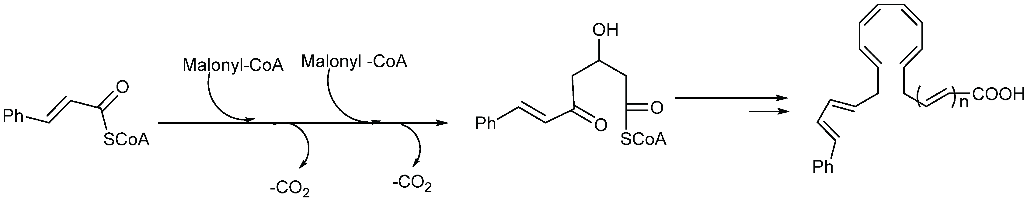 Biomolecules 05 00910 g003 1024