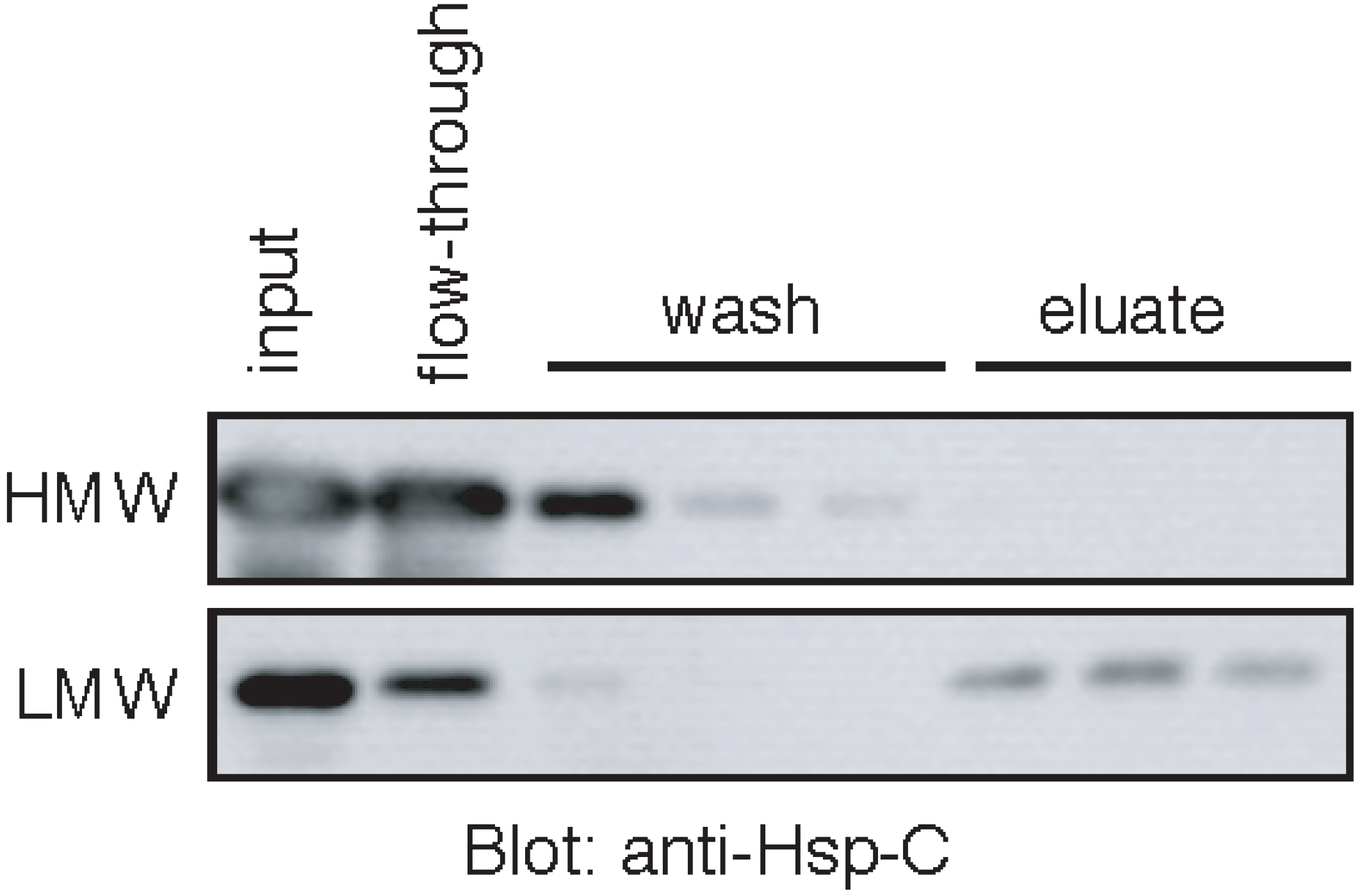 Biomolecules 05 00958 g004 1024