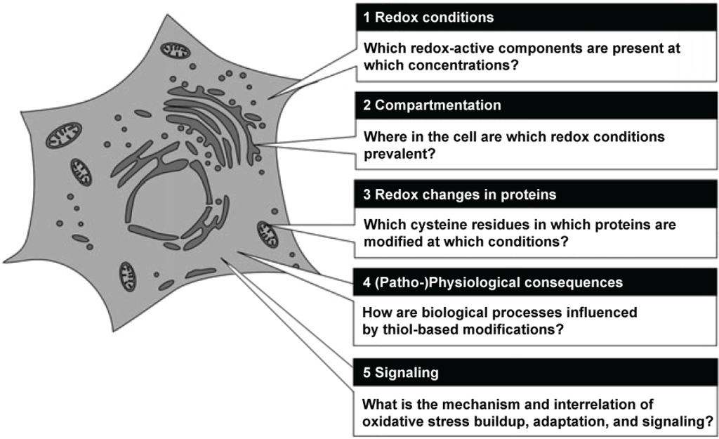 Biomolecules 05 01169 g001 1024