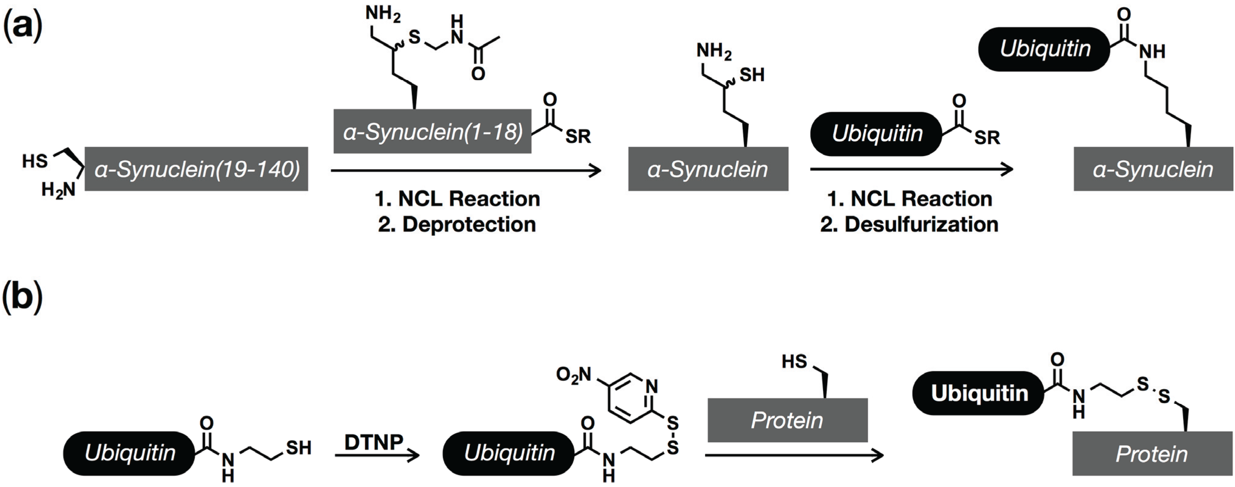 Biomolecules 05 01210 g003