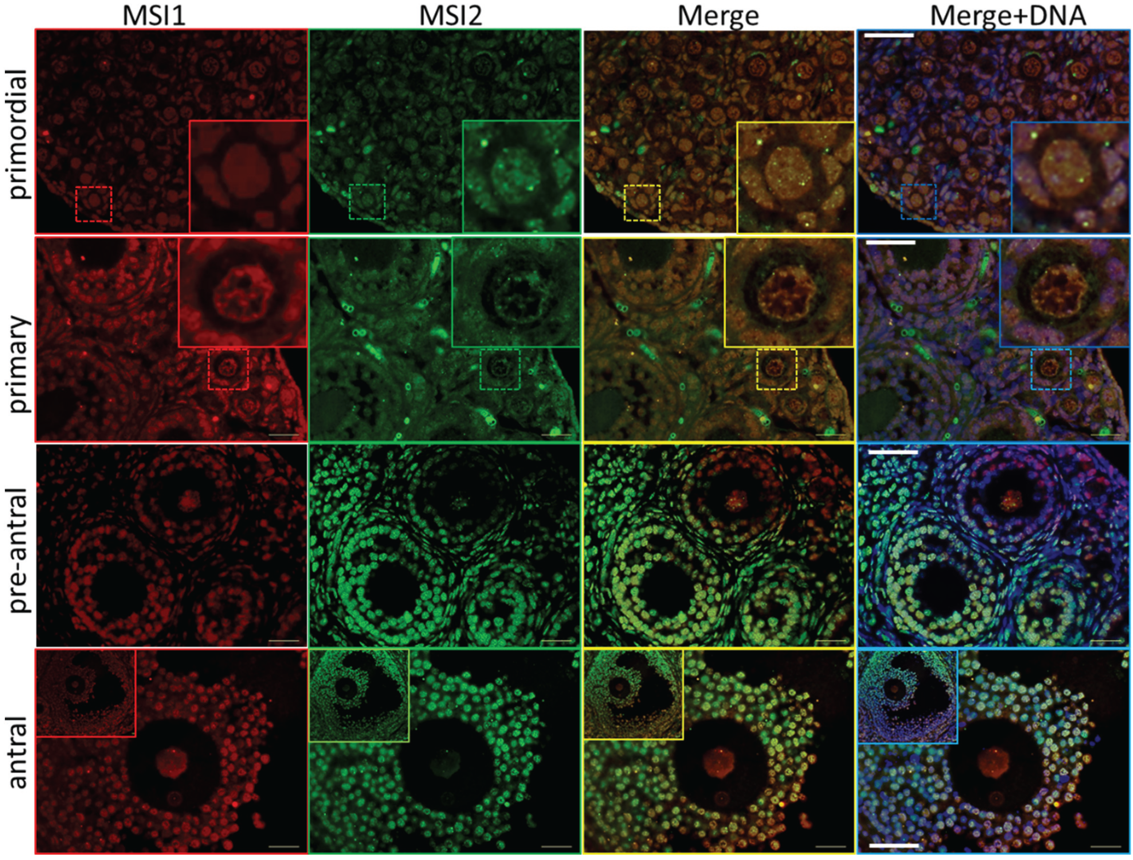 Biomolecules 05 01228 g003